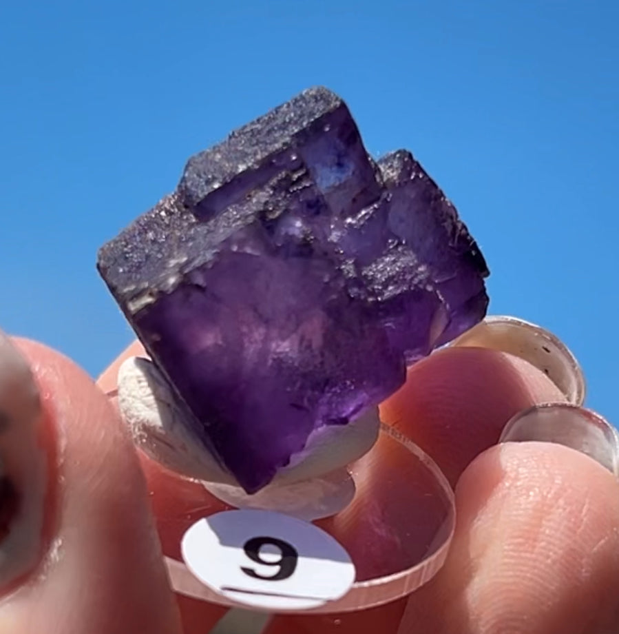 Purple Fluorite Cube (Red UV) from Ojuela Mine, Mapimi, Durango, México 🇲🇽 Pick Your Specimen - Small