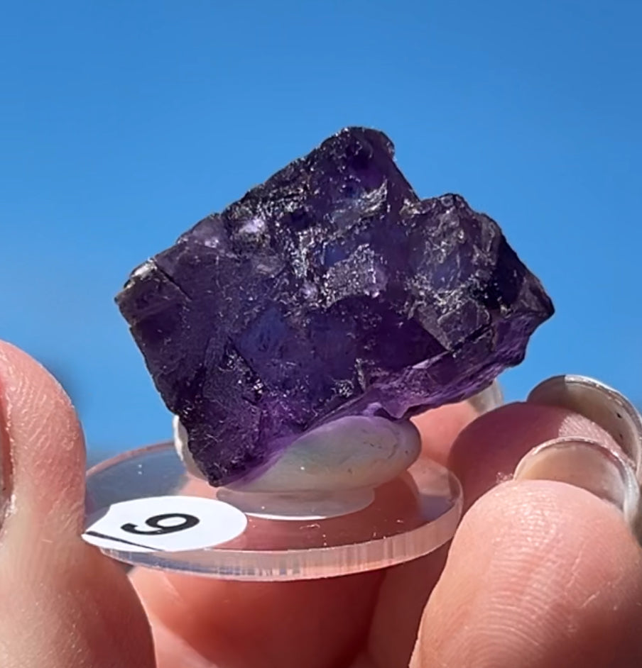 Purple Fluorite Cube (Red UV) from Ojuela Mine, Mapimi, Durango, México 🇲🇽 Pick Your Specimen - Small