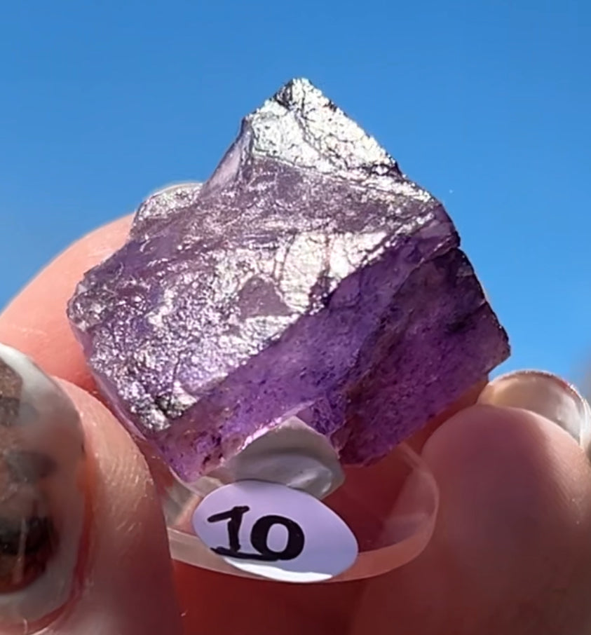 Purple Fluorite Cube (Red UV) from Ojuela Mine, Mapimi, Durango, México 🇲🇽 Pick Your Specimen - Small