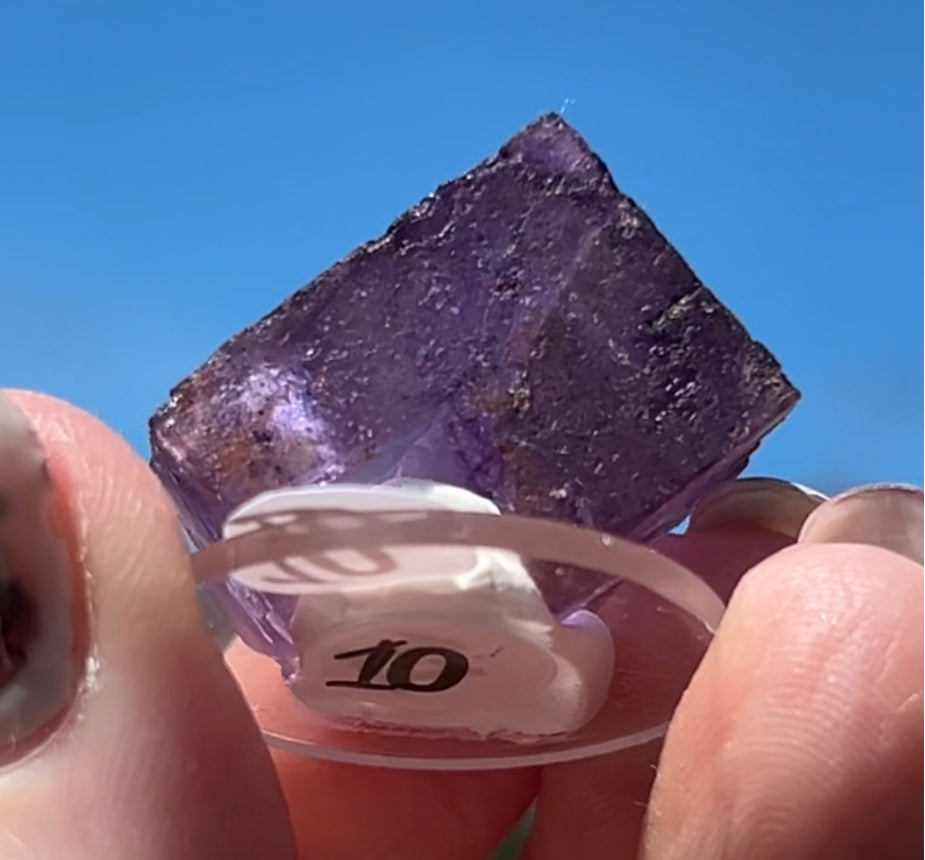 Purple Fluorite Cube (Red UV) from Ojuela Mine, Mapimi, Durango, México 🇲🇽 Pick Your Specimen - Small