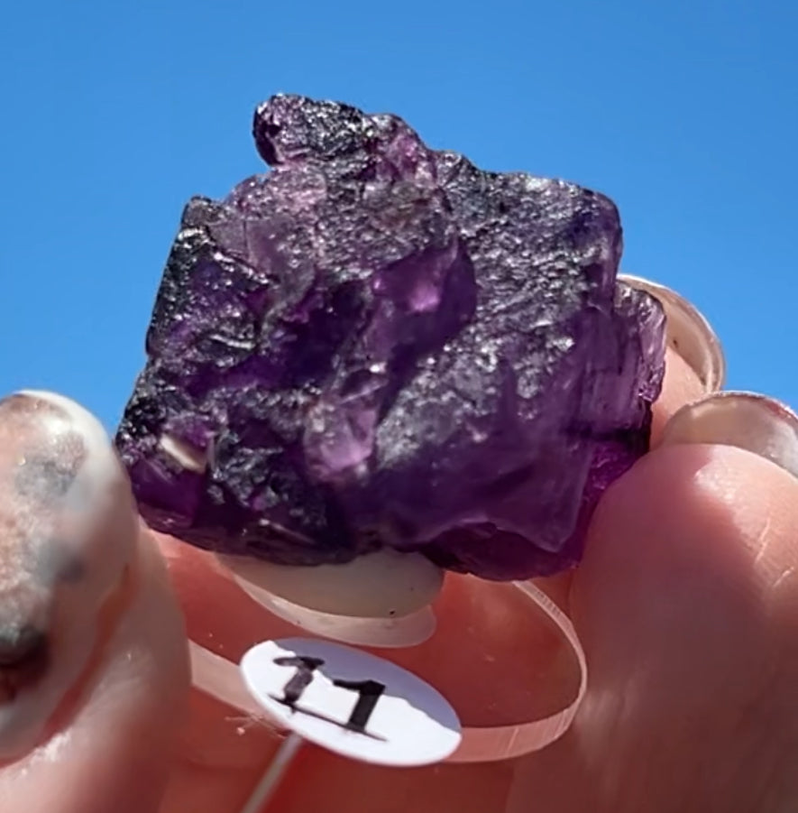 Purple Fluorite Cube (Red UV) from Ojuela Mine, Mapimi, Durango, México 🇲🇽 Pick Your Specimen - Small