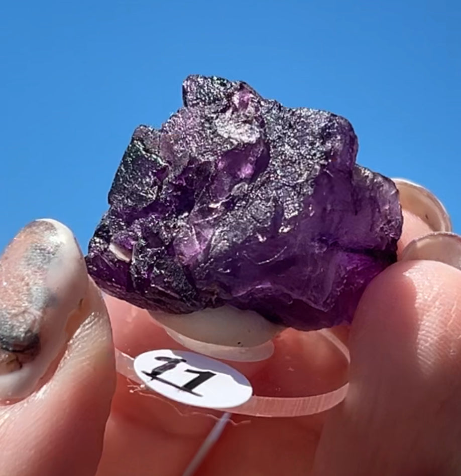 Purple Fluorite Cube (Red UV) from Ojuela Mine, Mapimi, Durango, México 🇲🇽 Pick Your Specimen - Small