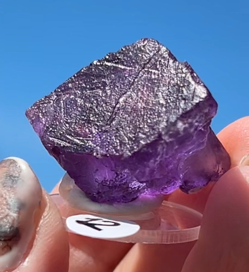 Purple Fluorite Cube (Red UV) from Ojuela Mine, Mapimi, Durango, México 🇲🇽 Pick Your Specimen - Small