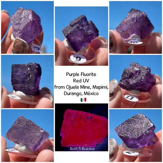 Purple Fluorite Cube (Red UV) from Ojuela Mine, Mapimi, Durango, México 🇲🇽 Pick Your Specimen - Small