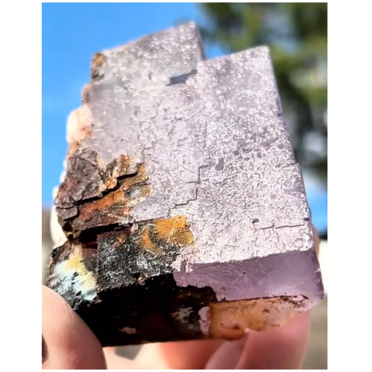 Moroccan Purple Fluorite Large Cube with Iridescent Goethite & Barite from Morocco 🇲🇦