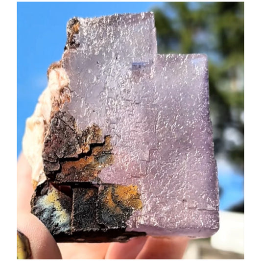 Moroccan Purple Fluorite Large Cube with Iridescent Goethite & Barite from Morocco 🇲🇦