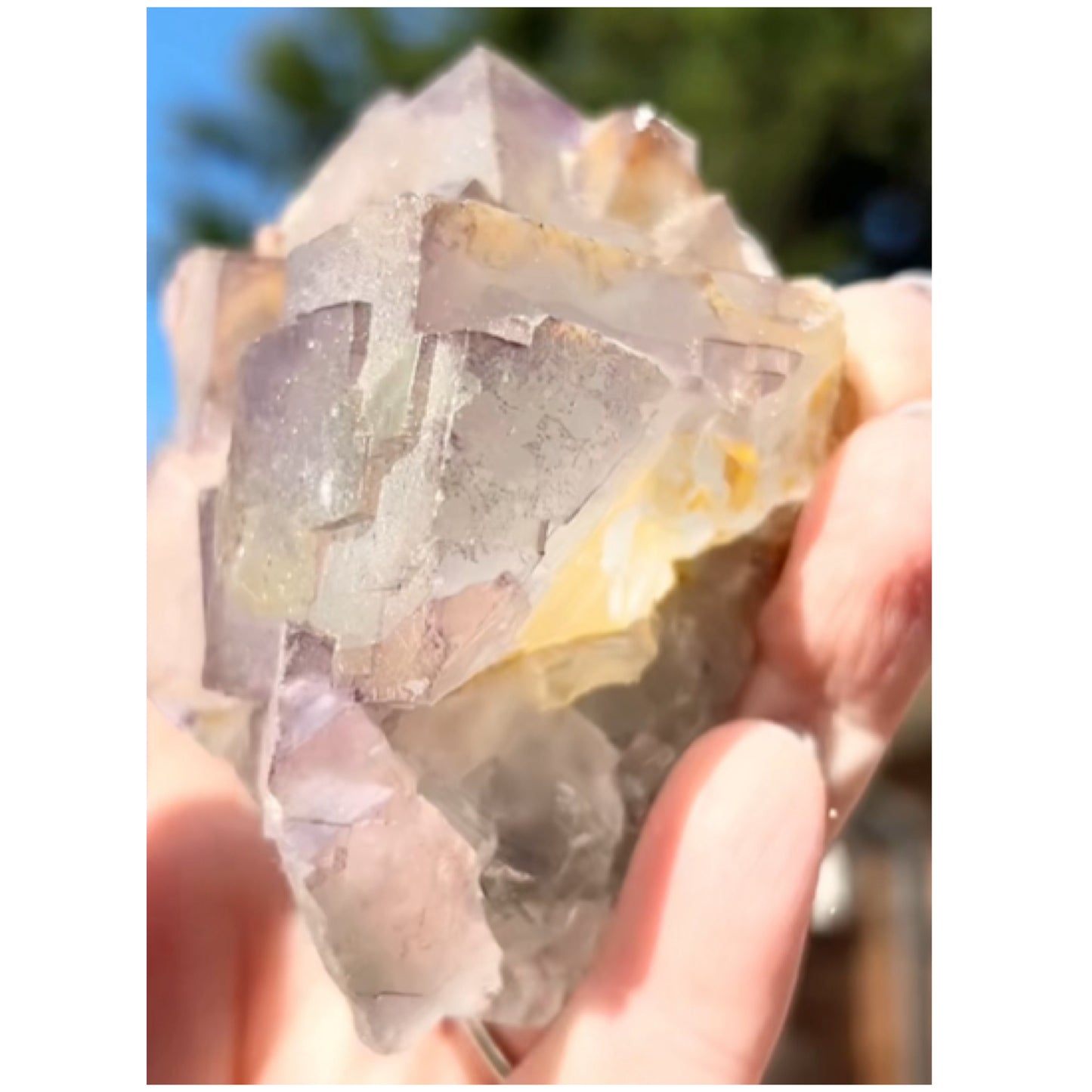 Moroccan Aqua-Green with Purple Pattern Fluorite from Morocco 🇲🇦