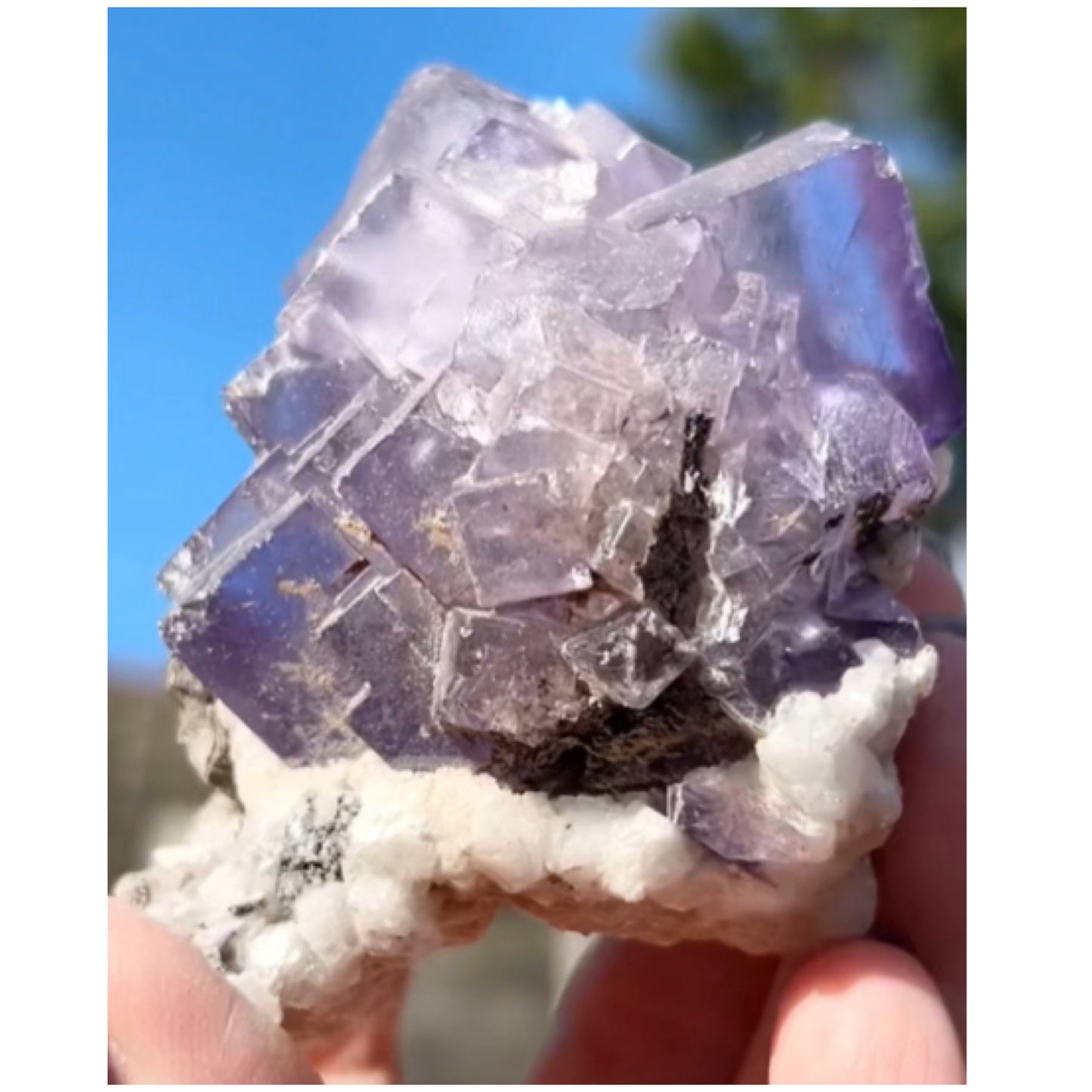 Moroccan Purple Fluorite Large Cube with Goethite & Barite Base from Morocco 🇲🇦