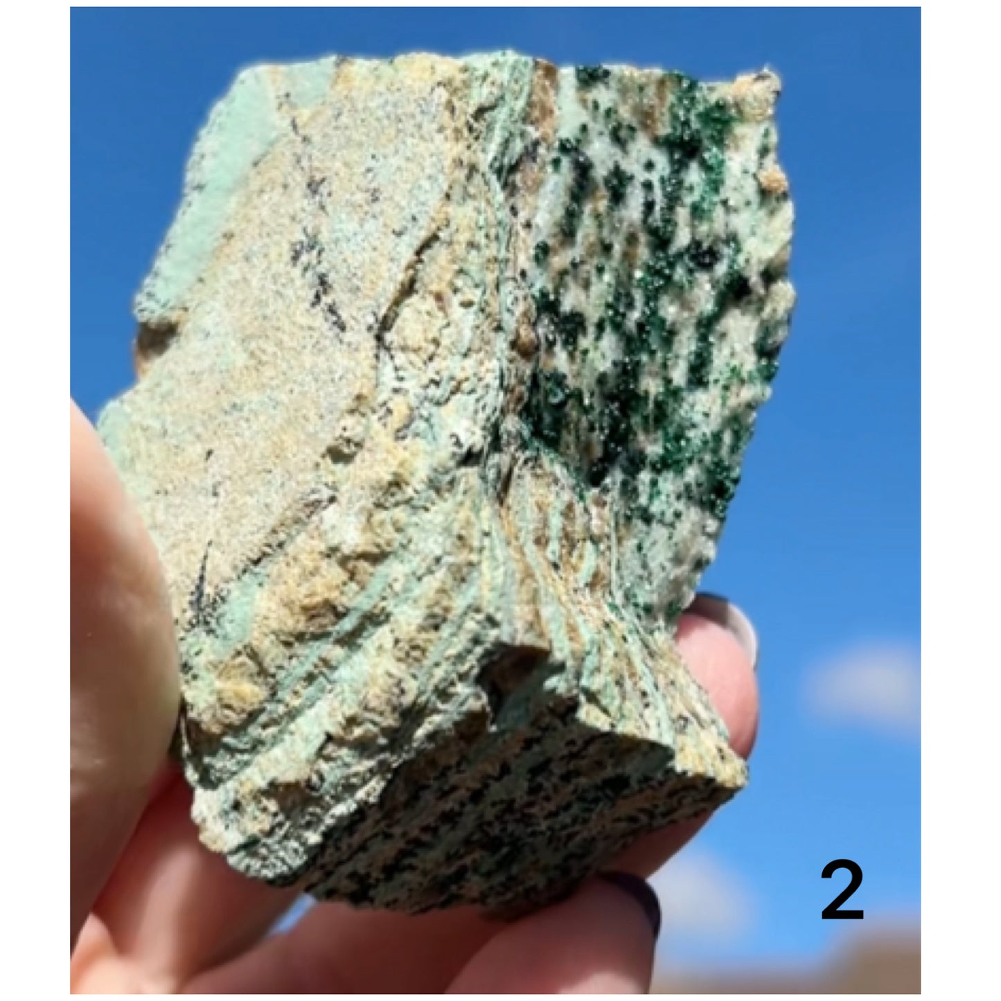 Chrysocolla & Malachite Slice with Dendrites from Democratic Republic of the Congo 🇨🇩 Pick Your Specimen