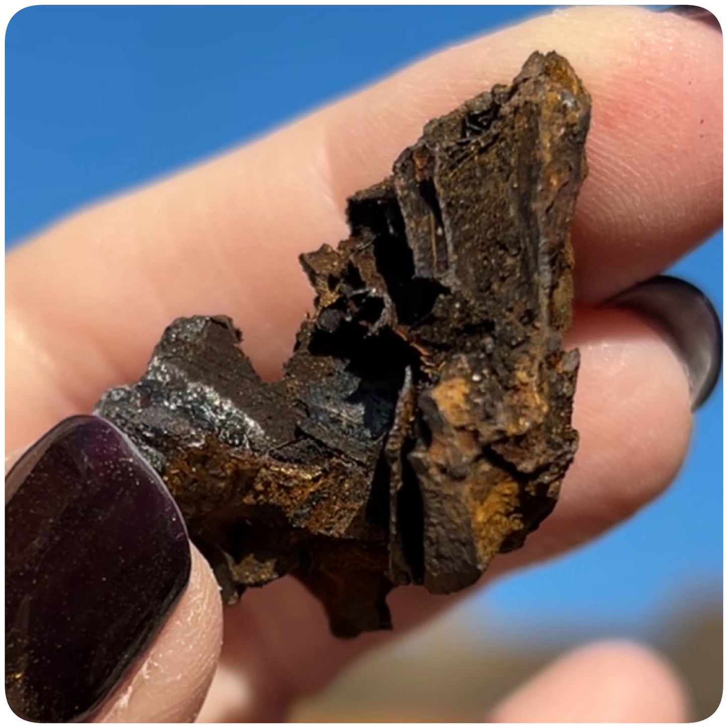 Goethite after Selenite Cast with Calcite & Chabazite from Potisi Mine, Santa Eulalia, Chihuahua, Mexico 🇲🇽 #8