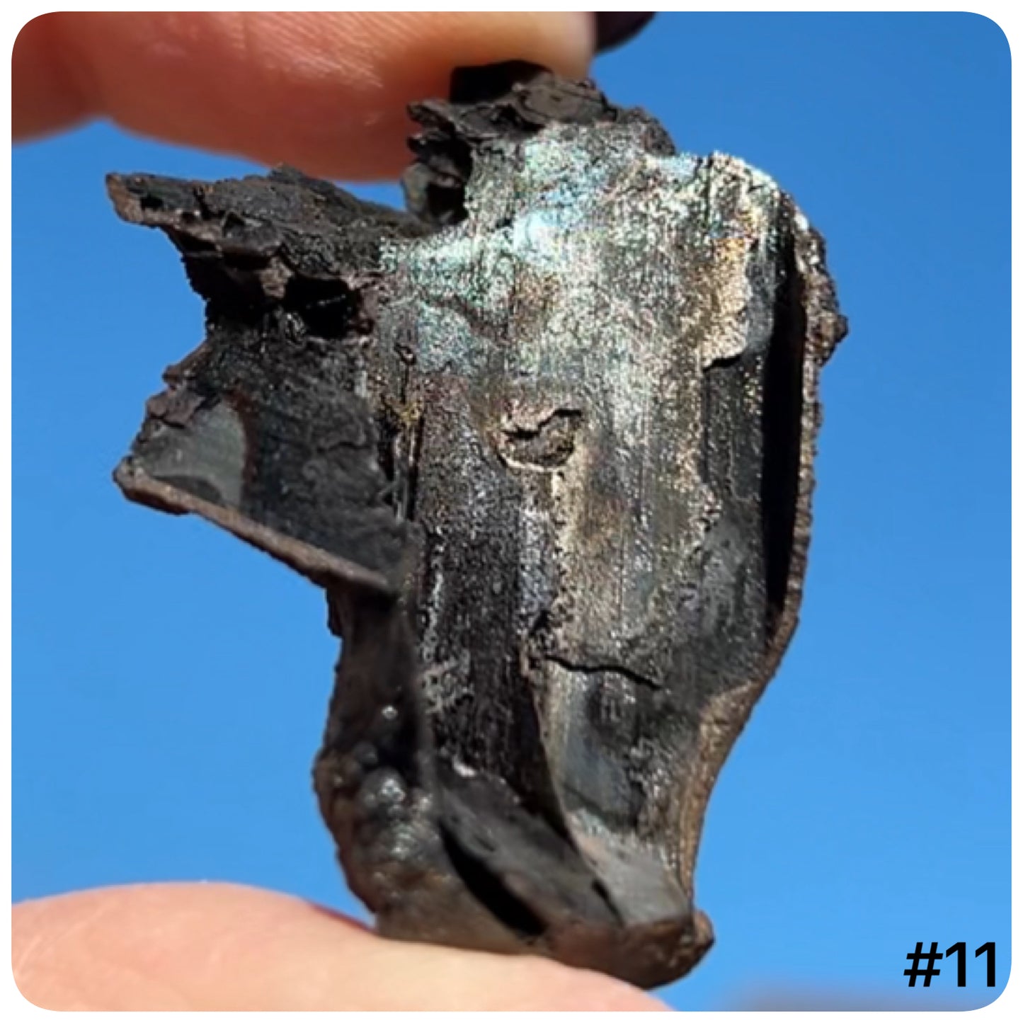 Goethite after Selenite Iridescent Cast with Calcite & Chabazite from Potisi Mine, Santa Eulalia, Chihuahua, Mexico 🇲🇽 #11