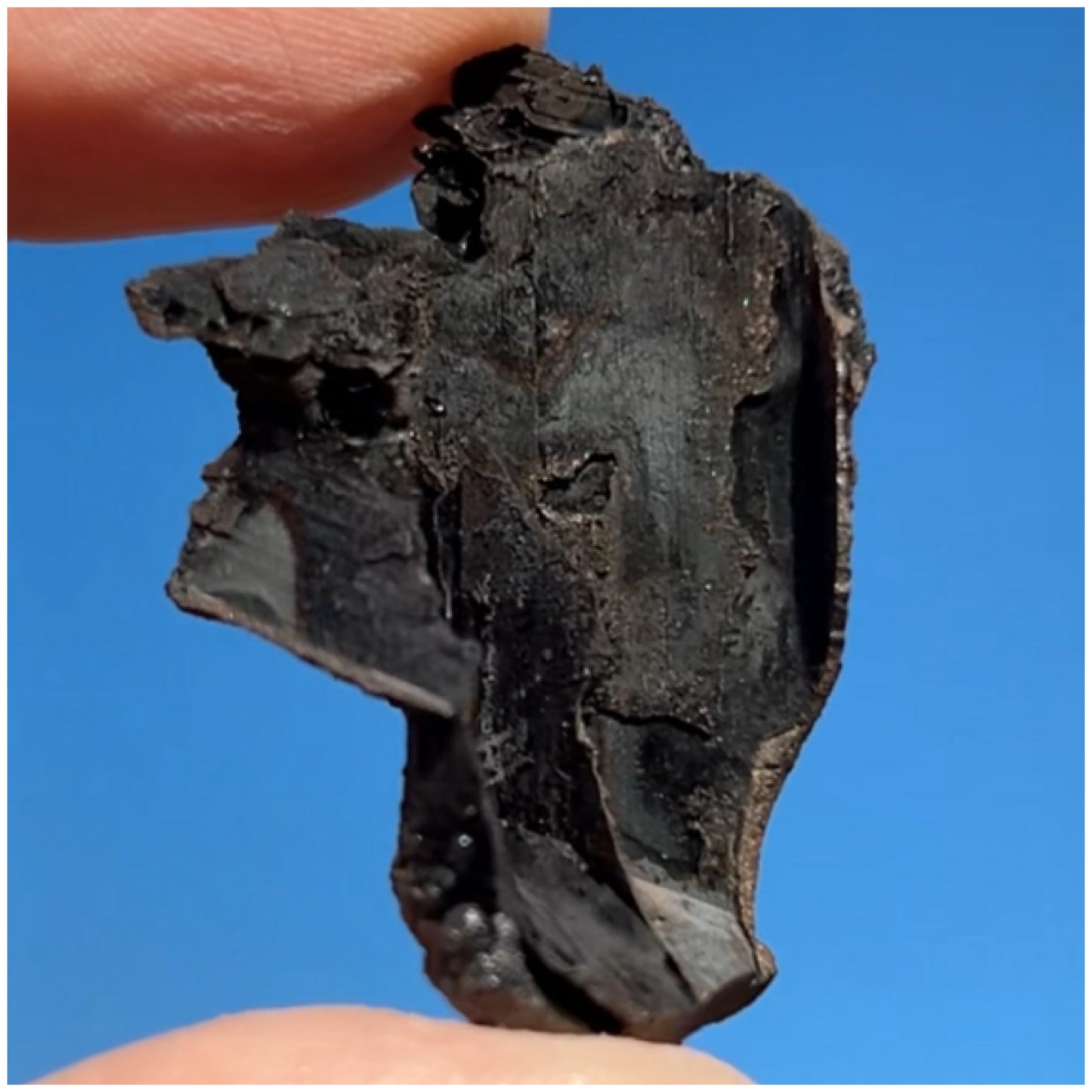 Goethite after Selenite Iridescent Cast with Calcite & Chabazite from Potisi Mine, Santa Eulalia, Chihuahua, Mexico 🇲🇽 #11