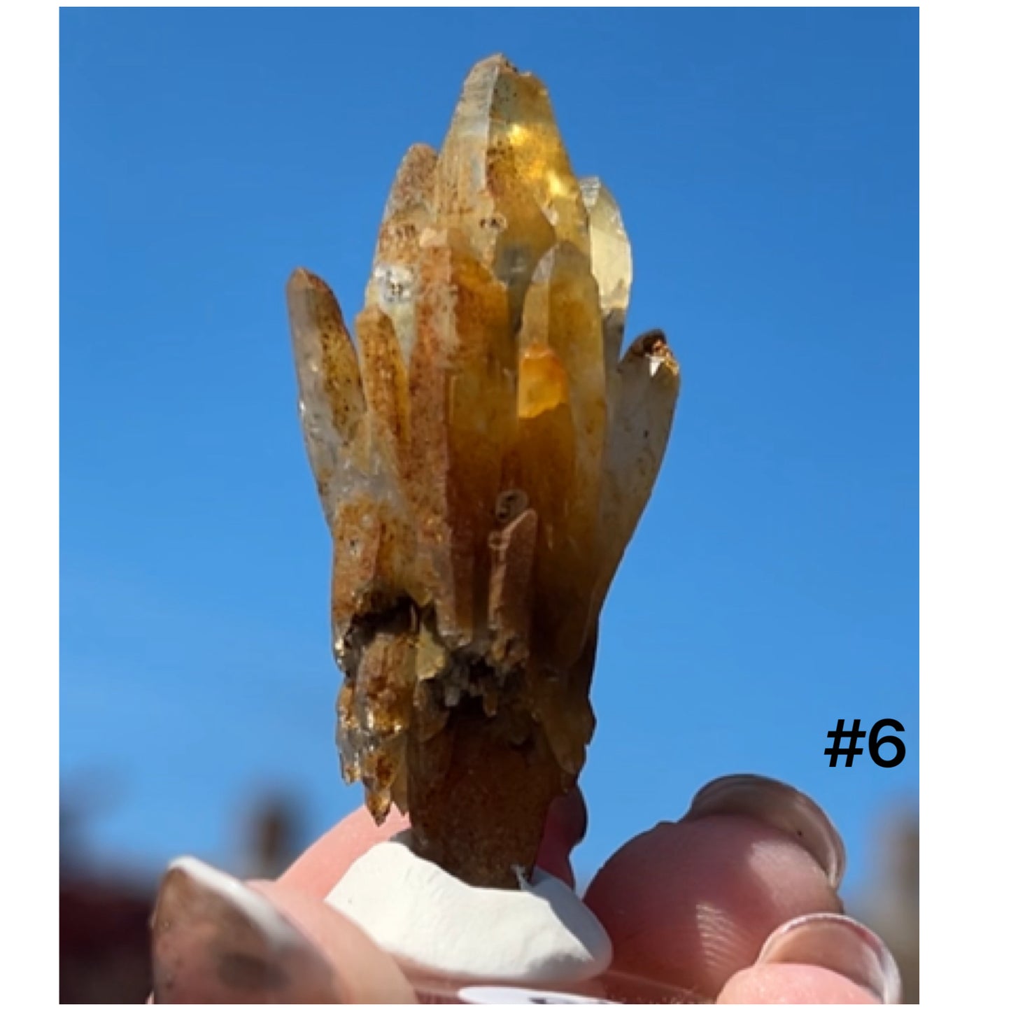 Black Iridescent Vera Cruz from Piedra Parada, Veracruz, Mexico 🇲🇽 #6