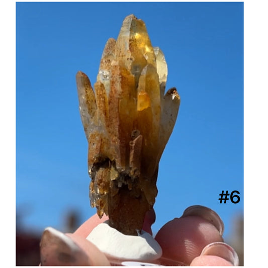 Black Iridescent Vera Cruz from Piedra Parada, Veracruz, Mexico 🇲🇽 #6