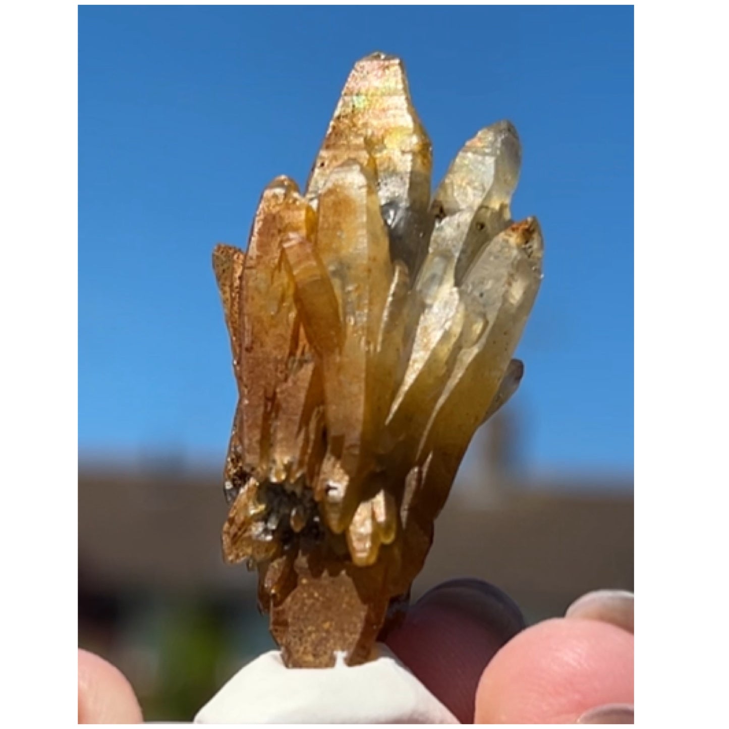 Black Iridescent Vera Cruz from Piedra Parada, Veracruz, Mexico 🇲🇽 #6