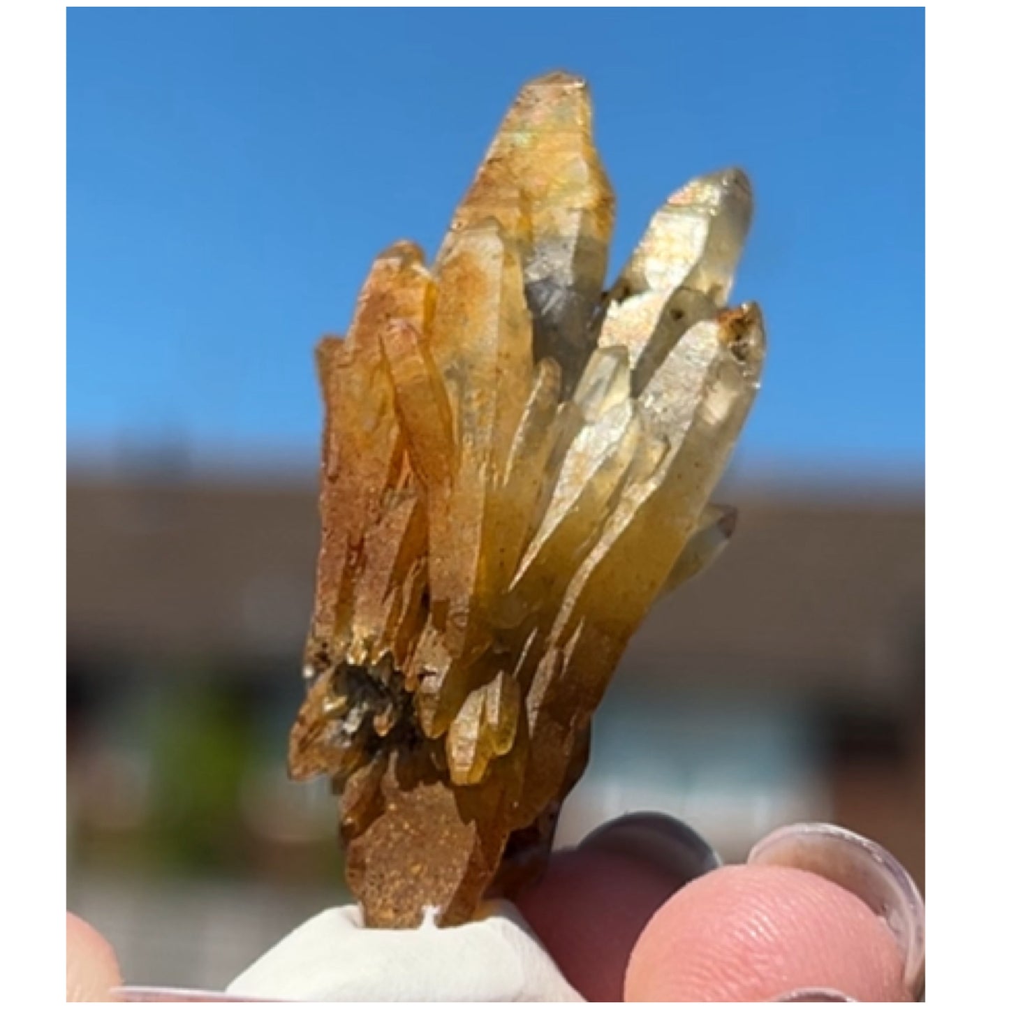 Black Iridescent Vera Cruz from Piedra Parada, Veracruz, Mexico 🇲🇽 #6