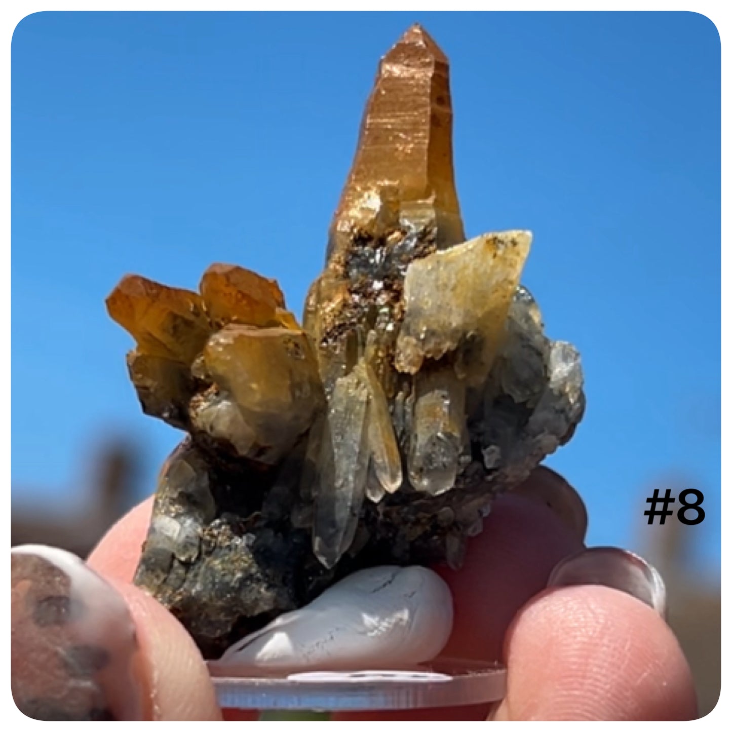 Black Iridescent Vera Cruz from Piedra Parada, Veracruz, Mexico 🇲🇽 #8