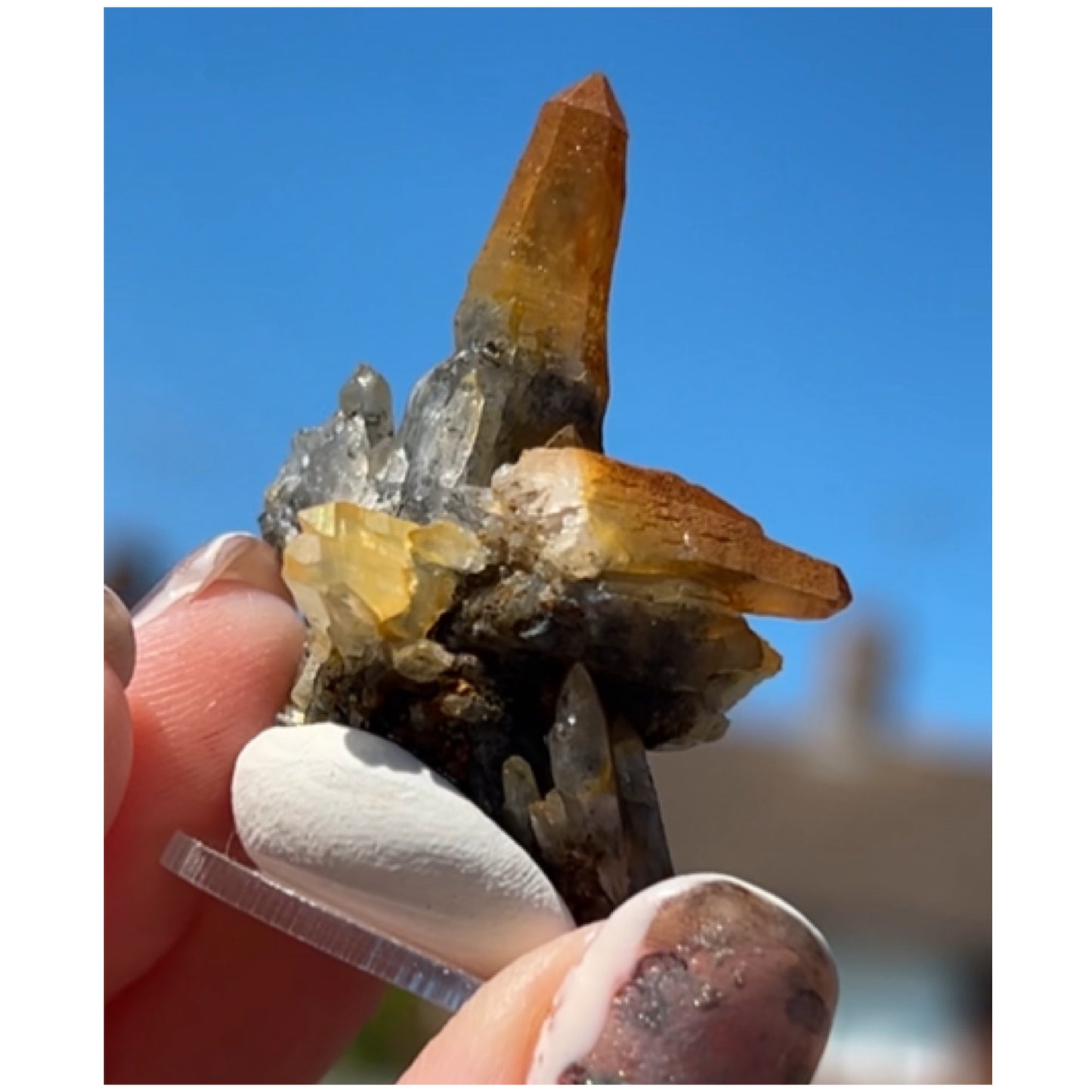 Black Iridescent Vera Cruz from Piedra Parada, Veracruz, Mexico 🇲🇽 #8