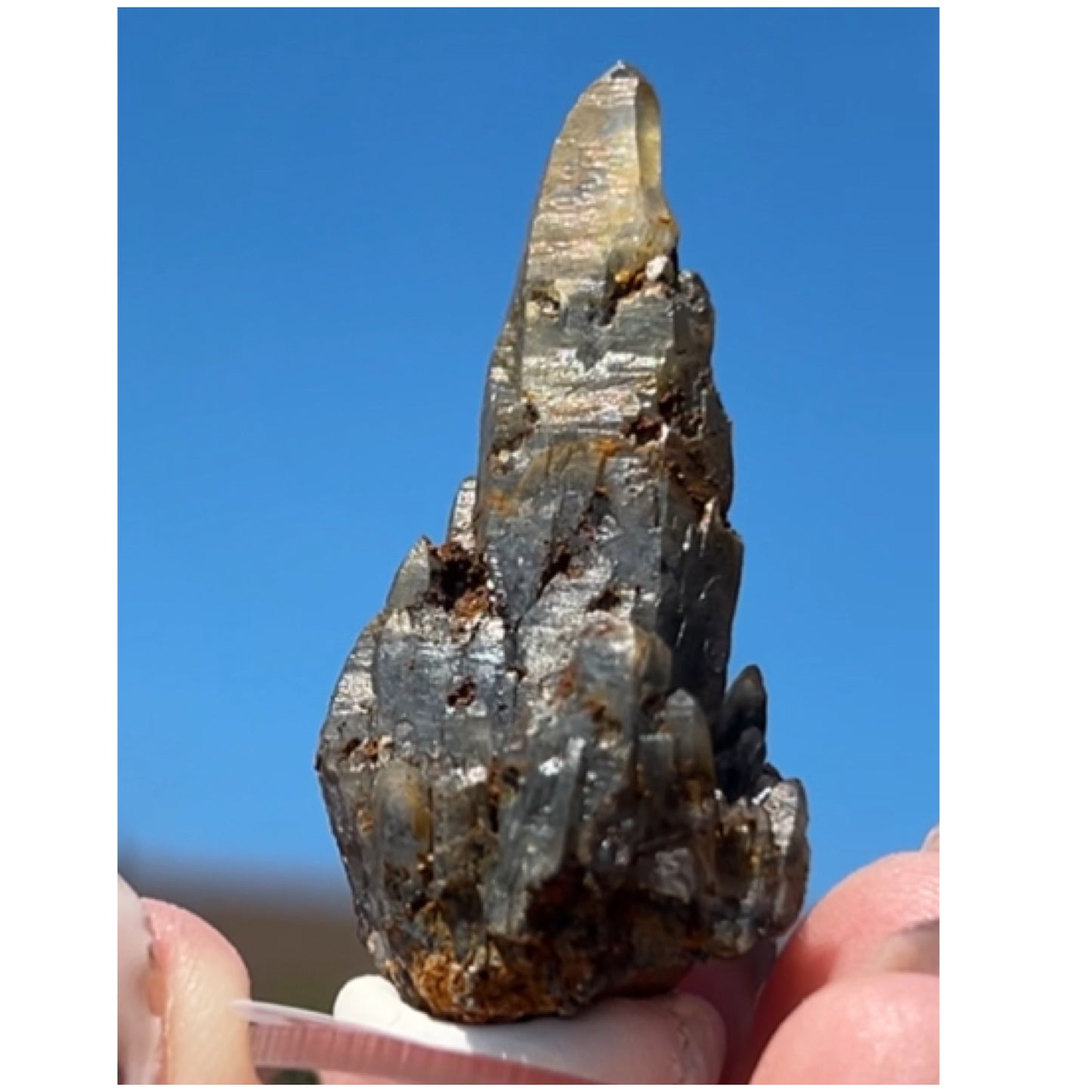 Black Iridescent Vera Cruz from Piedra Parada, Veracruz, Mexico 🇲🇽 #9