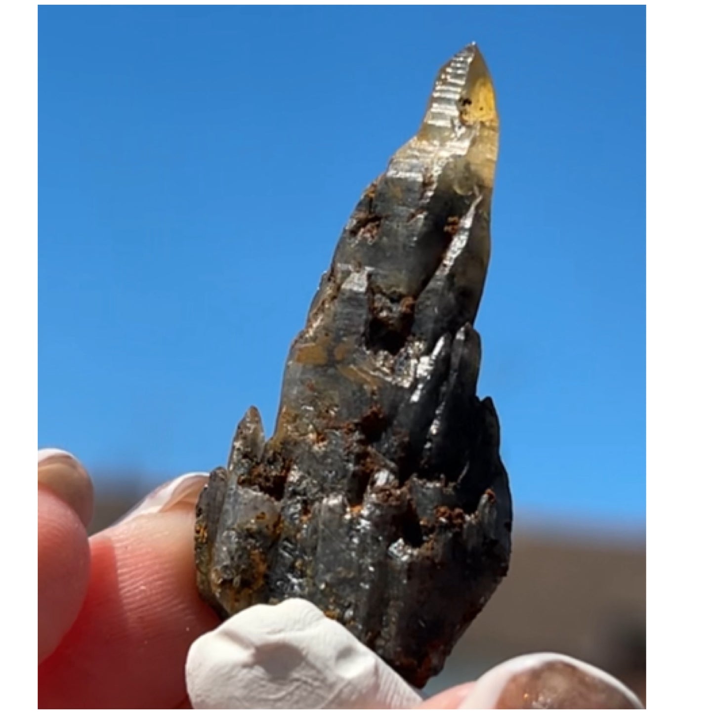 Black Iridescent Vera Cruz from Piedra Parada, Veracruz, Mexico 🇲🇽 #9