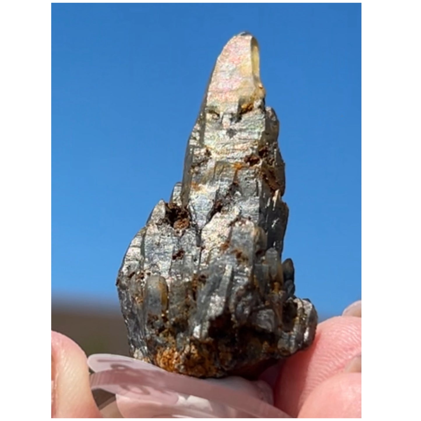 Black Iridescent Vera Cruz from Piedra Parada, Veracruz, Mexico 🇲🇽 #9