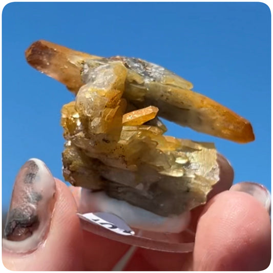 Black Iridescent Vera Cruz from Piedra Parada, Veracruz, Mexico 🇲🇽 #10