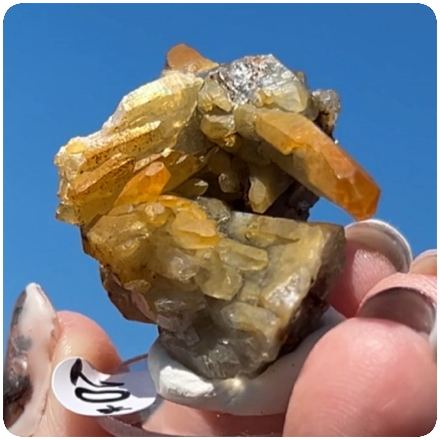 Black Iridescent Vera Cruz from Piedra Parada, Veracruz, Mexico 🇲🇽 #10