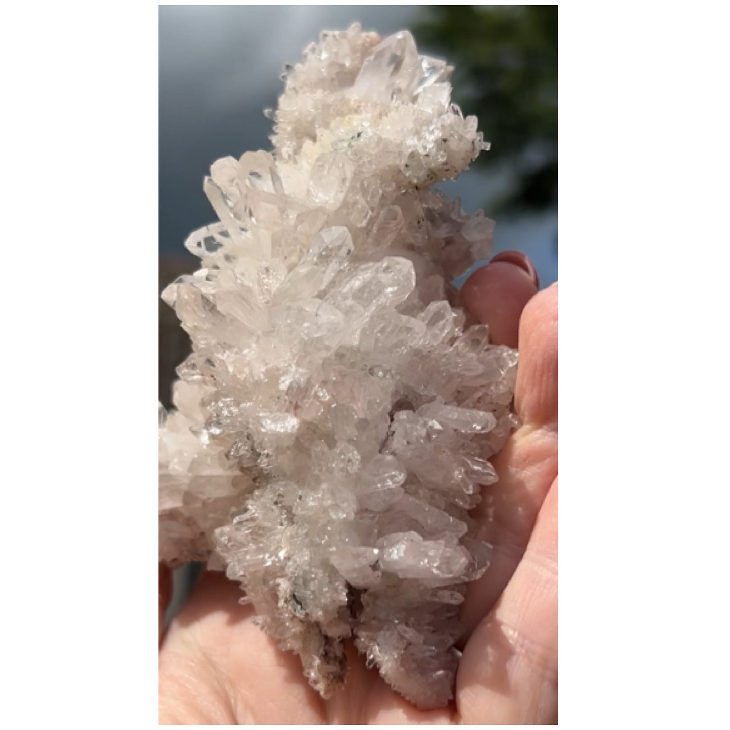 Mango Quartz with Pink & Black Hematite Inclusions XL Cluster from Columbia 🇨🇴 #1