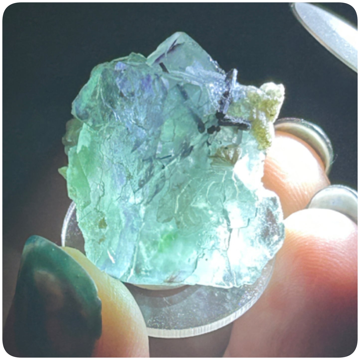 Tie Dye Green & Purple Fluorite from Tie Dye Pocket, Okorusu Mine, Otjiwarongo, Otjozondjupa Region, Namibia 🇳🇦 Pick Your Specimen