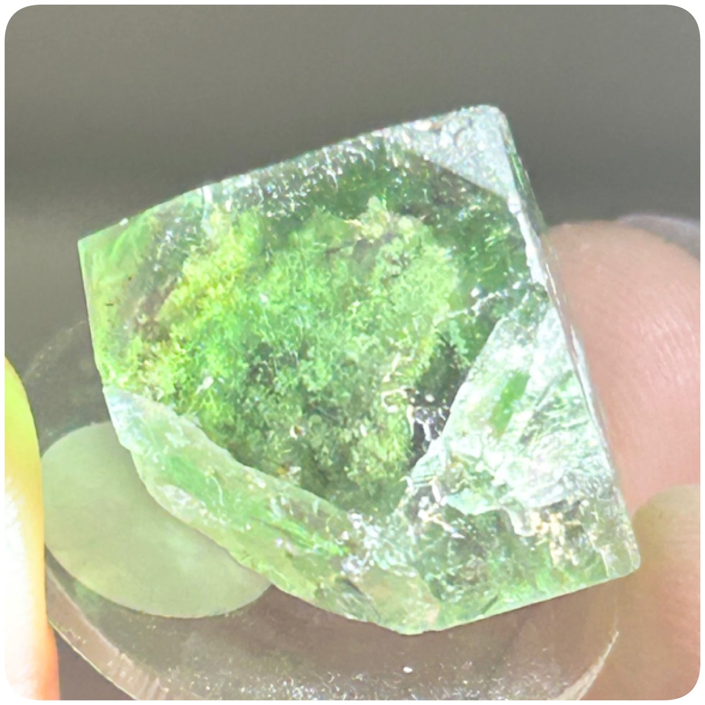 Tie Dye Green & Purple Fluorite from Tie Dye Pocket, Okorusu Mine, Otjiwarongo, Otjozondjupa Region, Namibia 🇳🇦 Pick Your Specimen