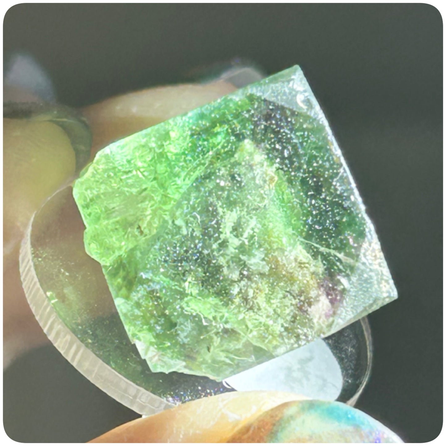 Tie Dye Green & Purple Fluorite from Tie Dye Pocket, Okorusu Mine, Otjiwarongo, Otjozondjupa Region, Namibia 🇳🇦 Pick Your Specimen
