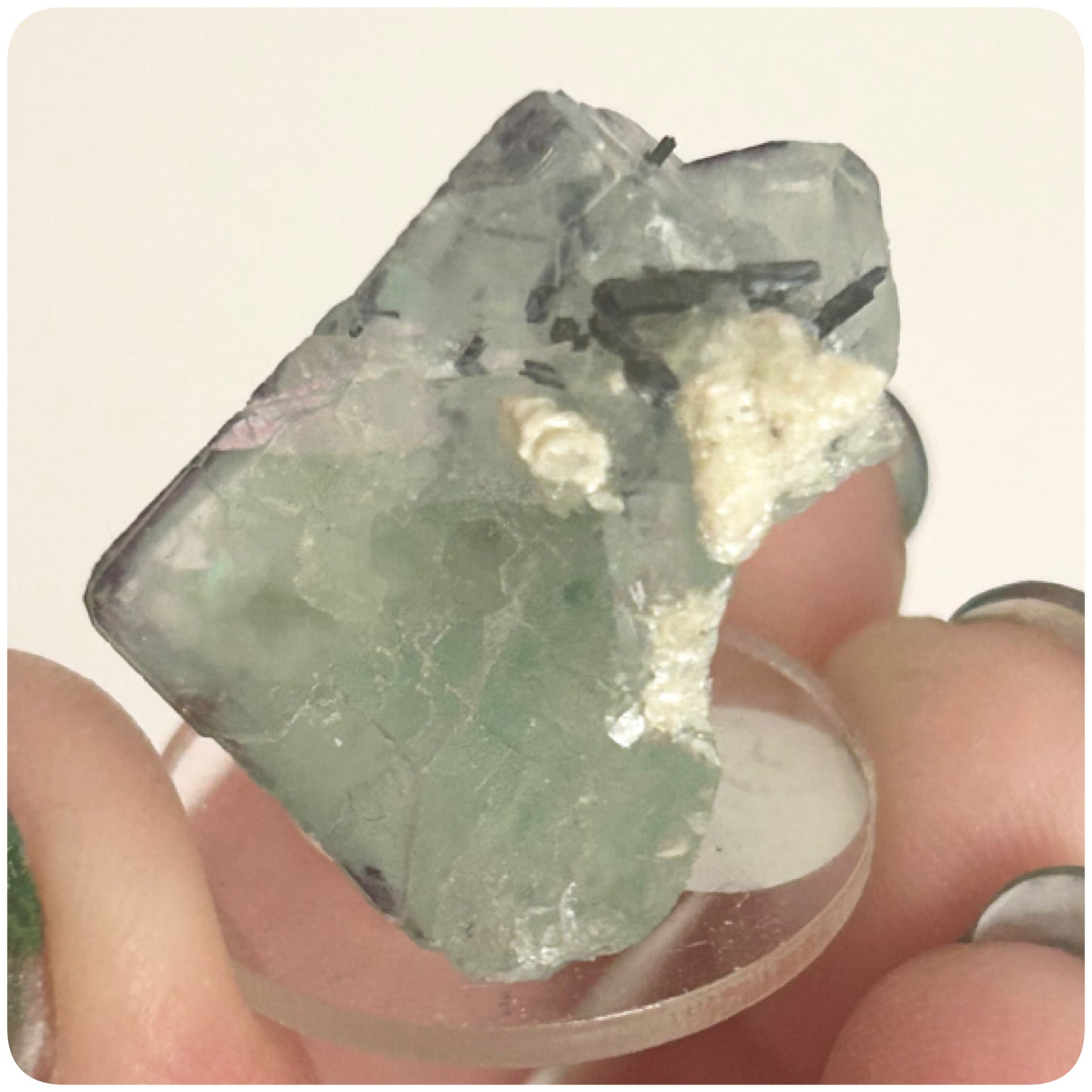 Tie Dye Green & Purple Fluorite from Tie Dye Pocket, Okorusu Mine, Otjiwarongo, Otjozondjupa Region, Namibia 🇳🇦 Pick Your Specimen