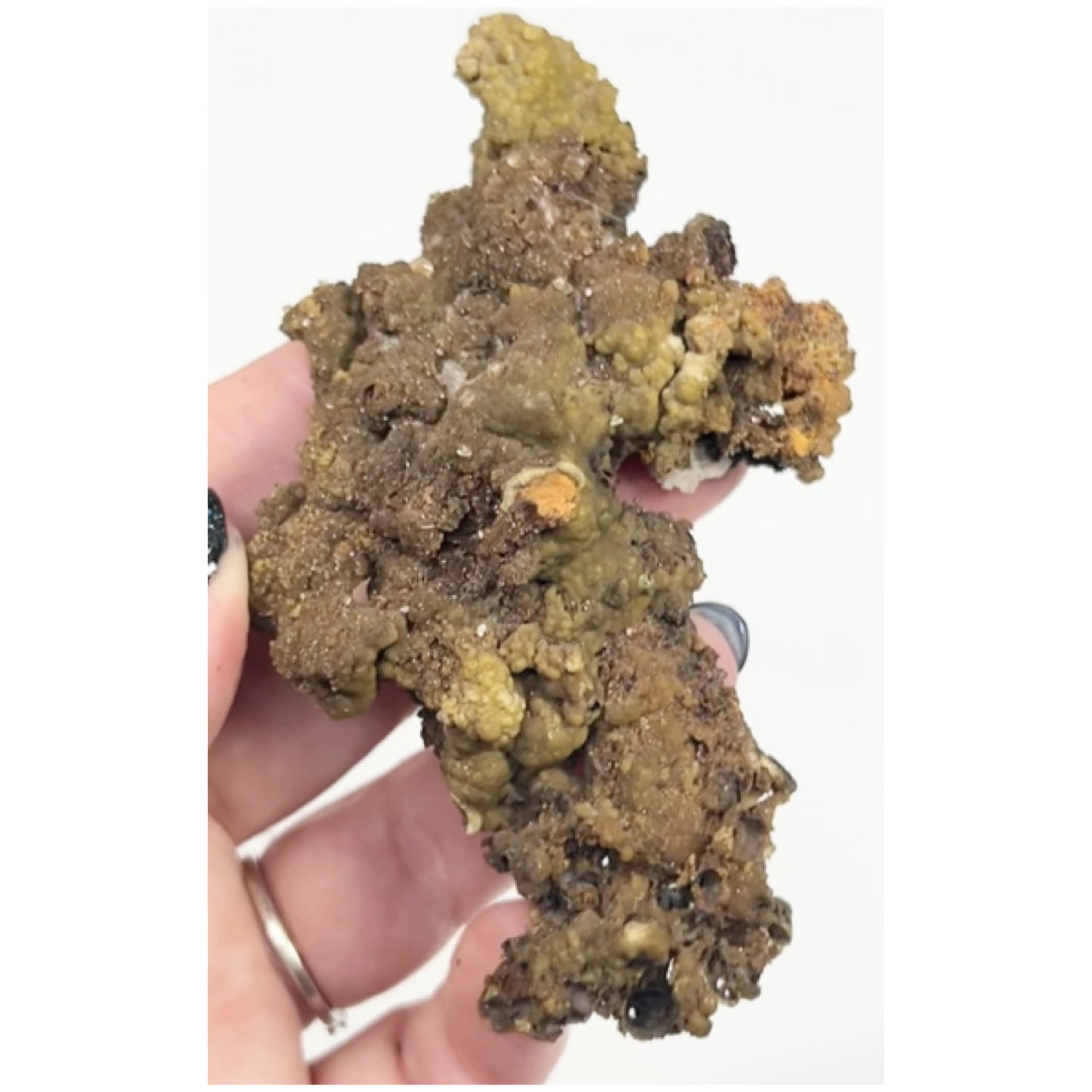Rare Mottramite from Ojuela Mine, Mapimi, Durango, Mexico 🇲🇽 (Mined in 2011 - Pocket Exhausted)
