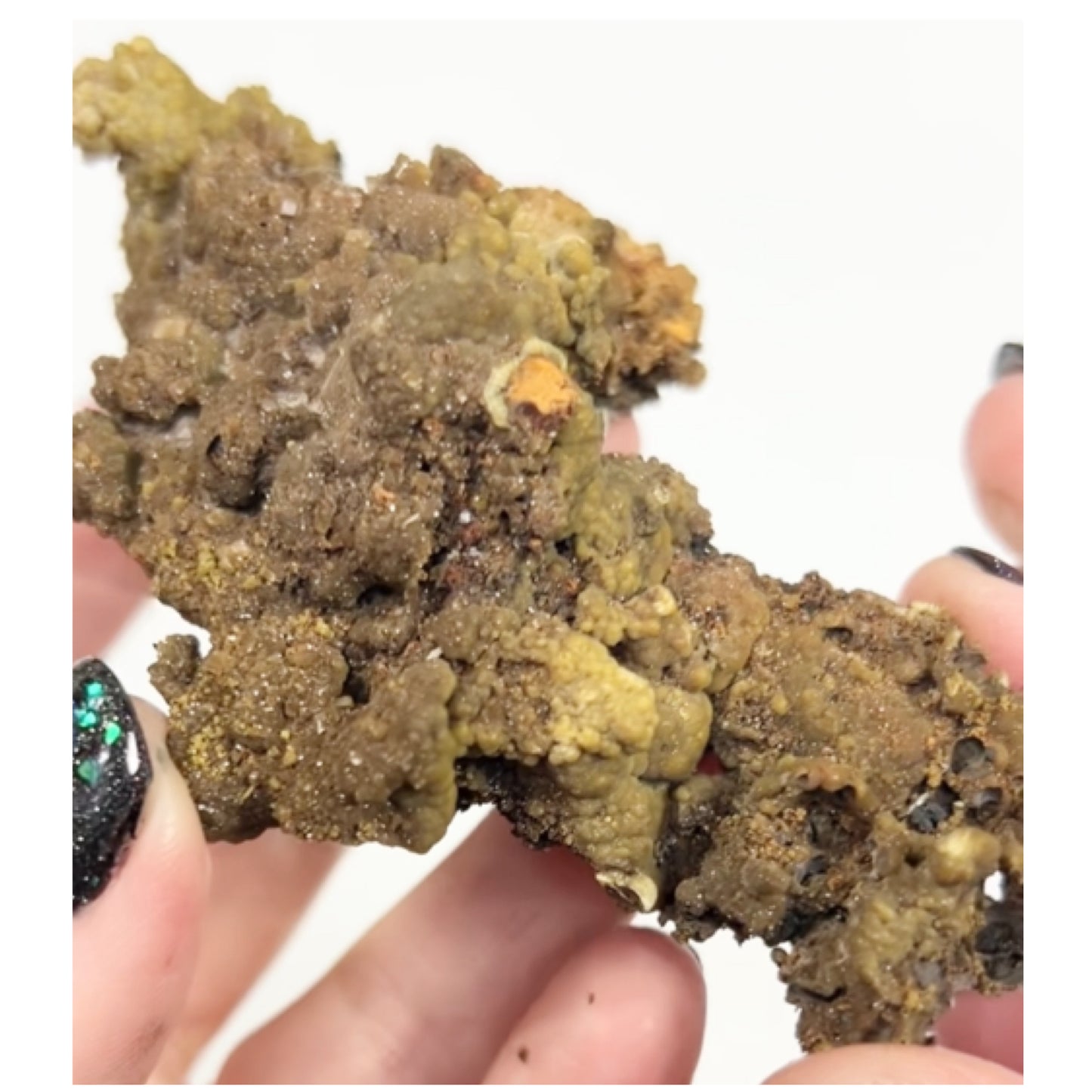 Rare Mottramite from Ojuela Mine, Mapimi, Durango, Mexico 🇲🇽 (Mined in 2011 - Pocket Exhausted)