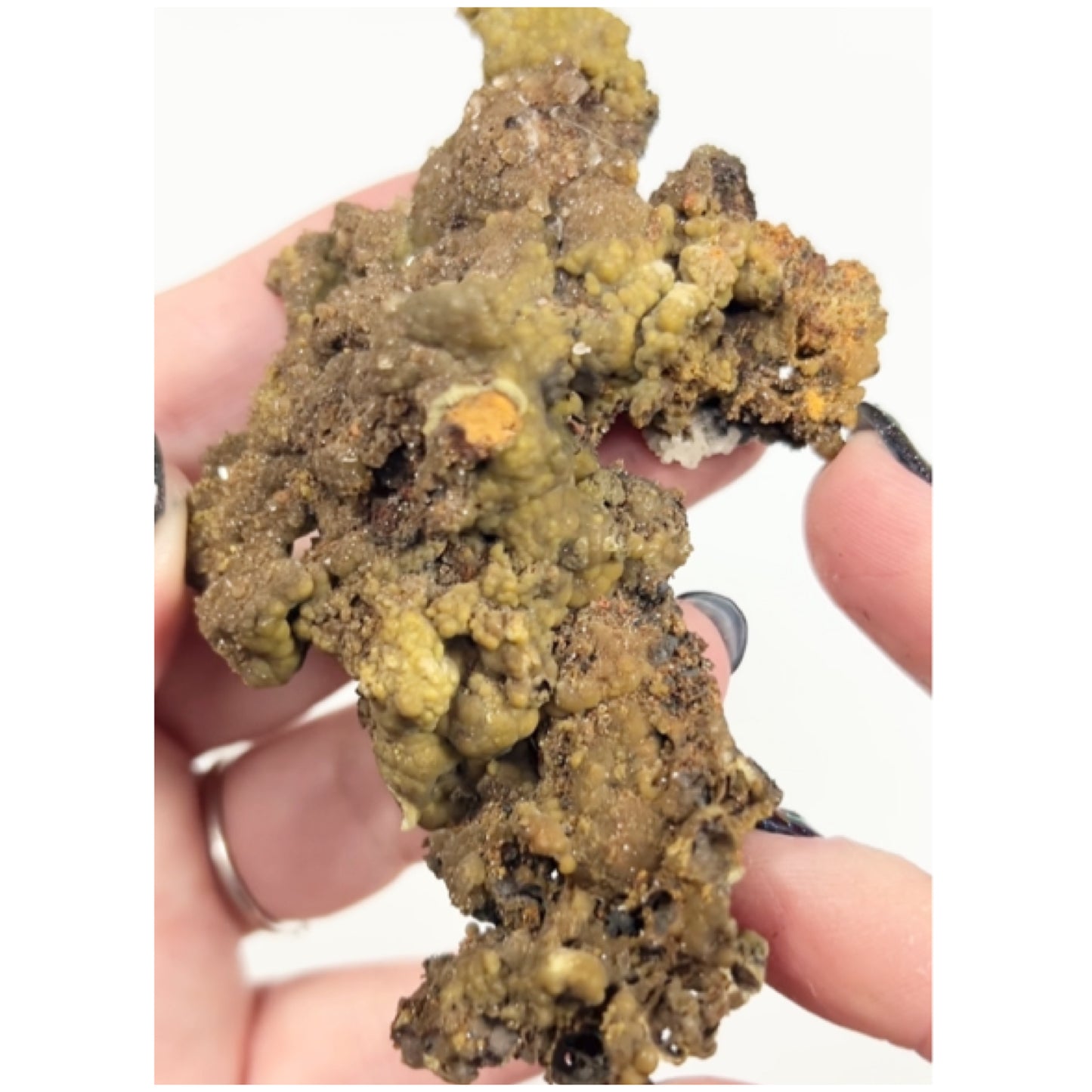 Rare Mottramite from Ojuela Mine, Mapimi, Durango, Mexico 🇲🇽 (Mined in 2011 - Pocket Exhausted)