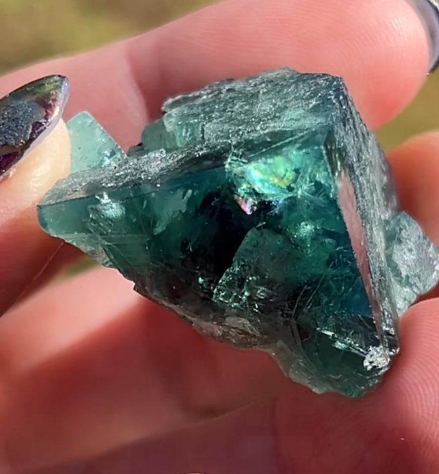 #17 Truffle 🐷 Pig Fluorite Raw from Sutcliffe Vein, Diana Maria Mine, Weardale, U.K. 🇬🇧
