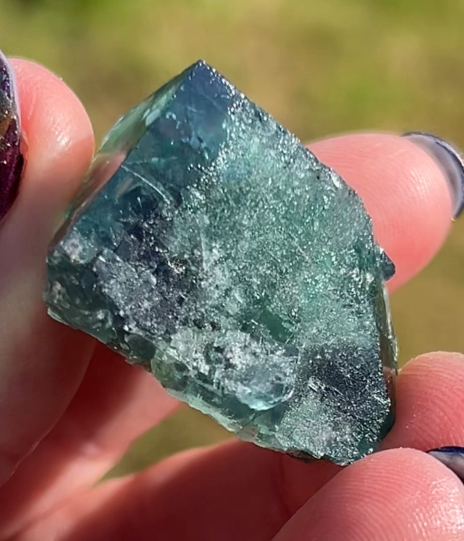 #17 Truffle 🐷 Pig Fluorite Raw from Sutcliffe Vein, Diana Maria Mine, Weardale, U.K. 🇬🇧