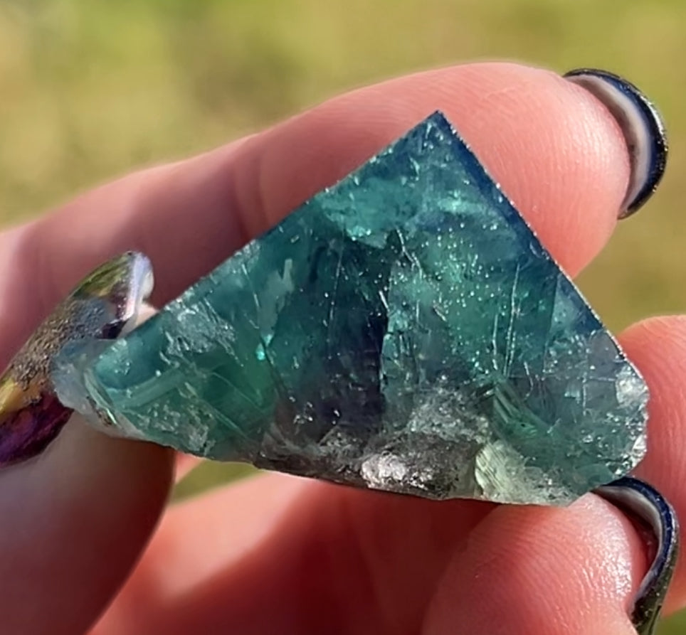 #17 Truffle 🐷 Pig Fluorite Raw from Sutcliffe Vein, Diana Maria Mine, Weardale, U.K. 🇬🇧