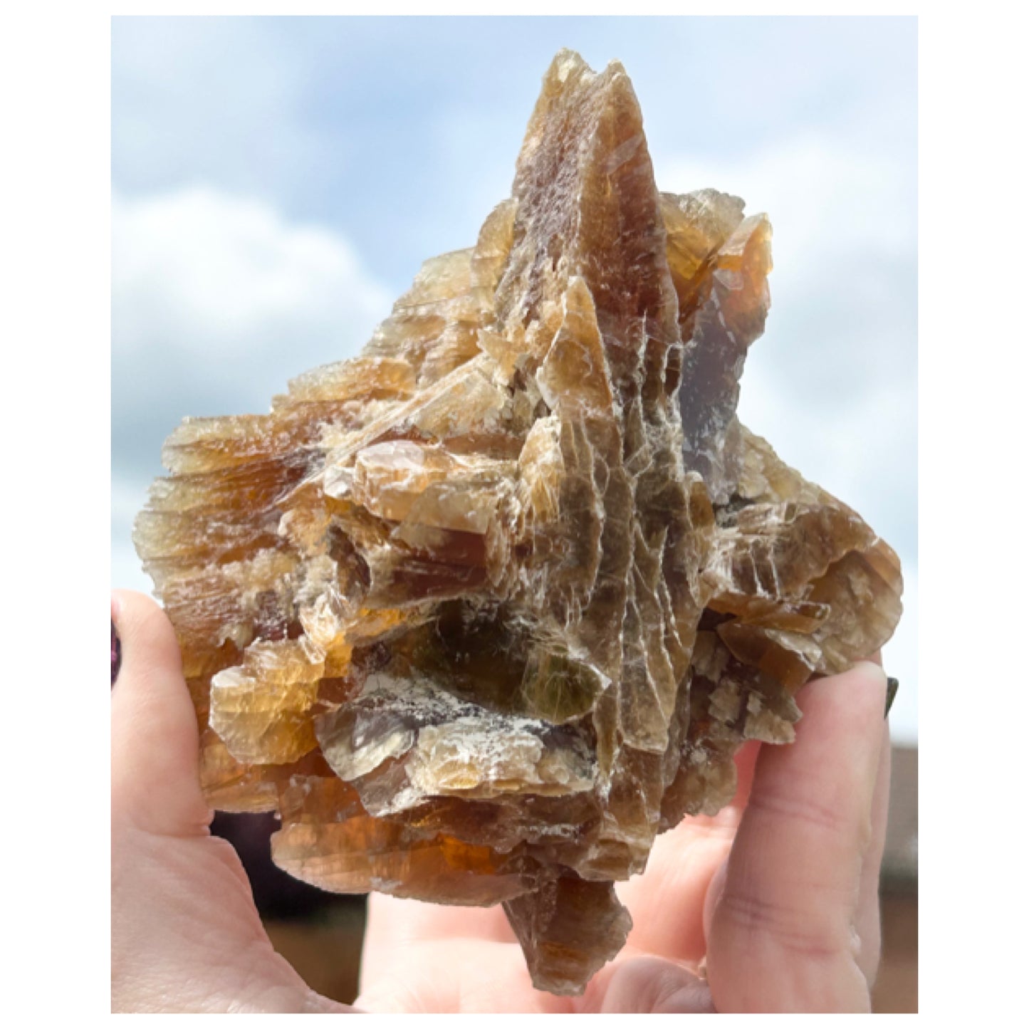 Turkish 🇹🇷 Dessert Rose Gypsum Selenite large from Kirka Mine, Eskisehir Province, Turkey 🇹🇷