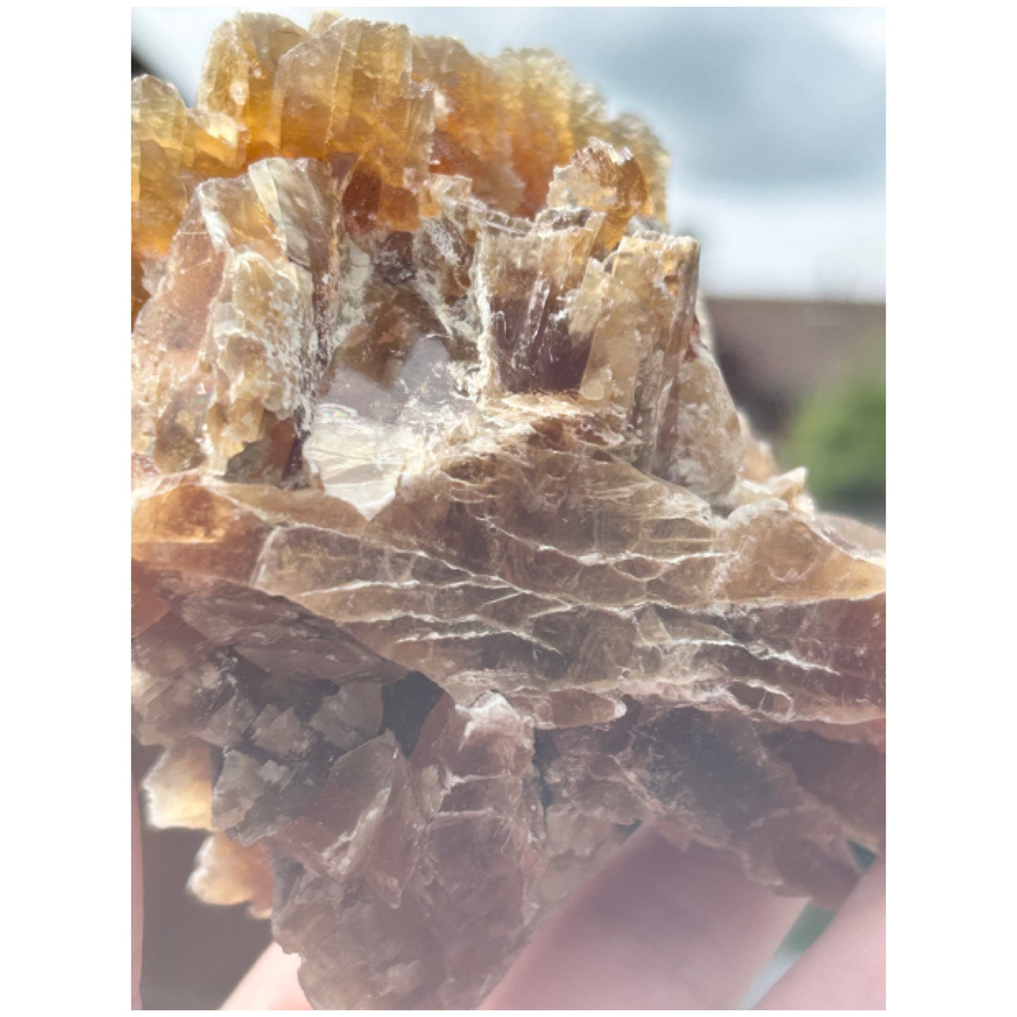 Turkish 🇹🇷 Dessert Rose Gypsum Selenite large from Kirka Mine, Eskisehir Province, Turkey 🇹🇷
