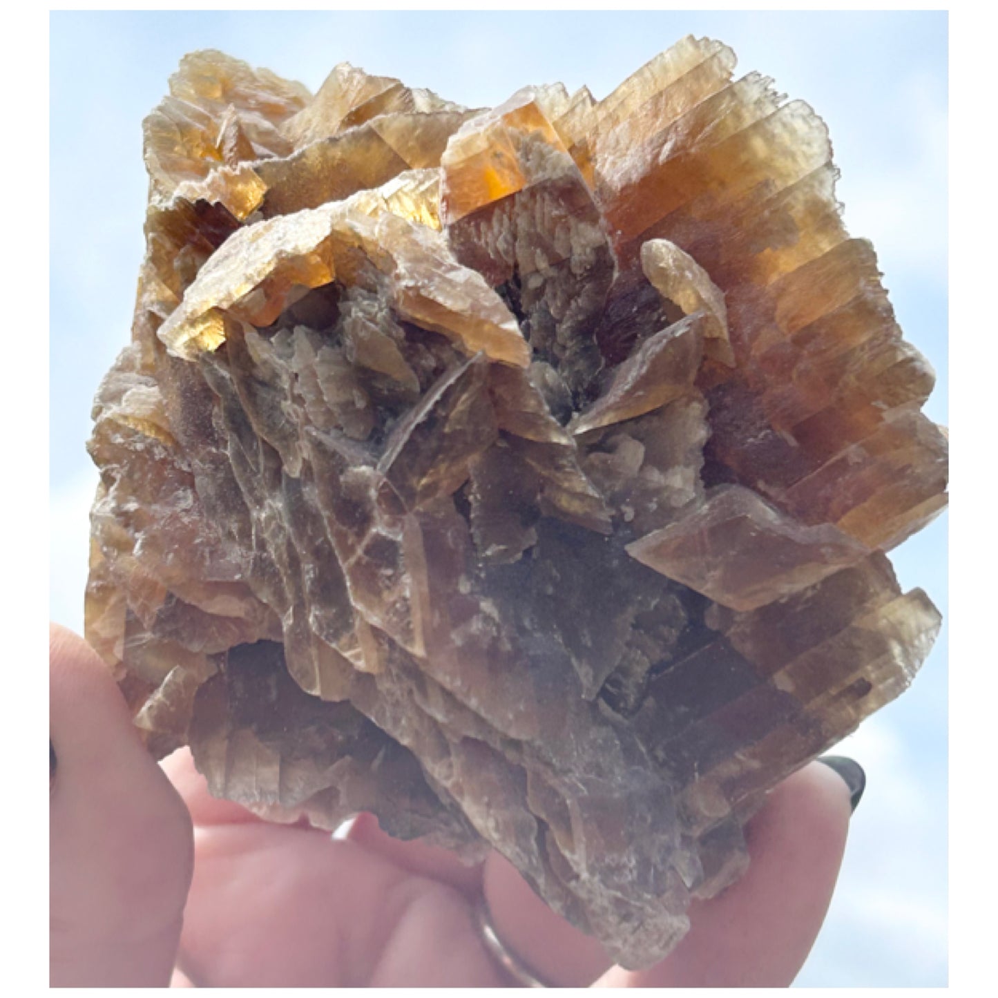 Turkish 🇹🇷 Dessert Rose Gypsum Selenite large from Kirka Mine, Eskisehir Province, Turkey 🇹🇷