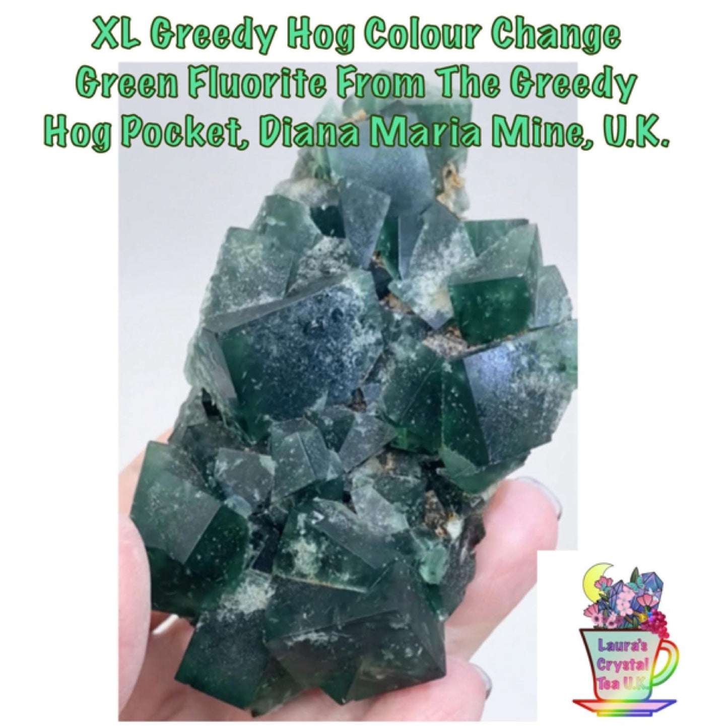 XL Greedy Hog Colour Change Green Fluorite from Greedy Hog Pocket, Diana Maria Mine, Weardale, County Durham, U.K. 🇬🇧 Top Quality