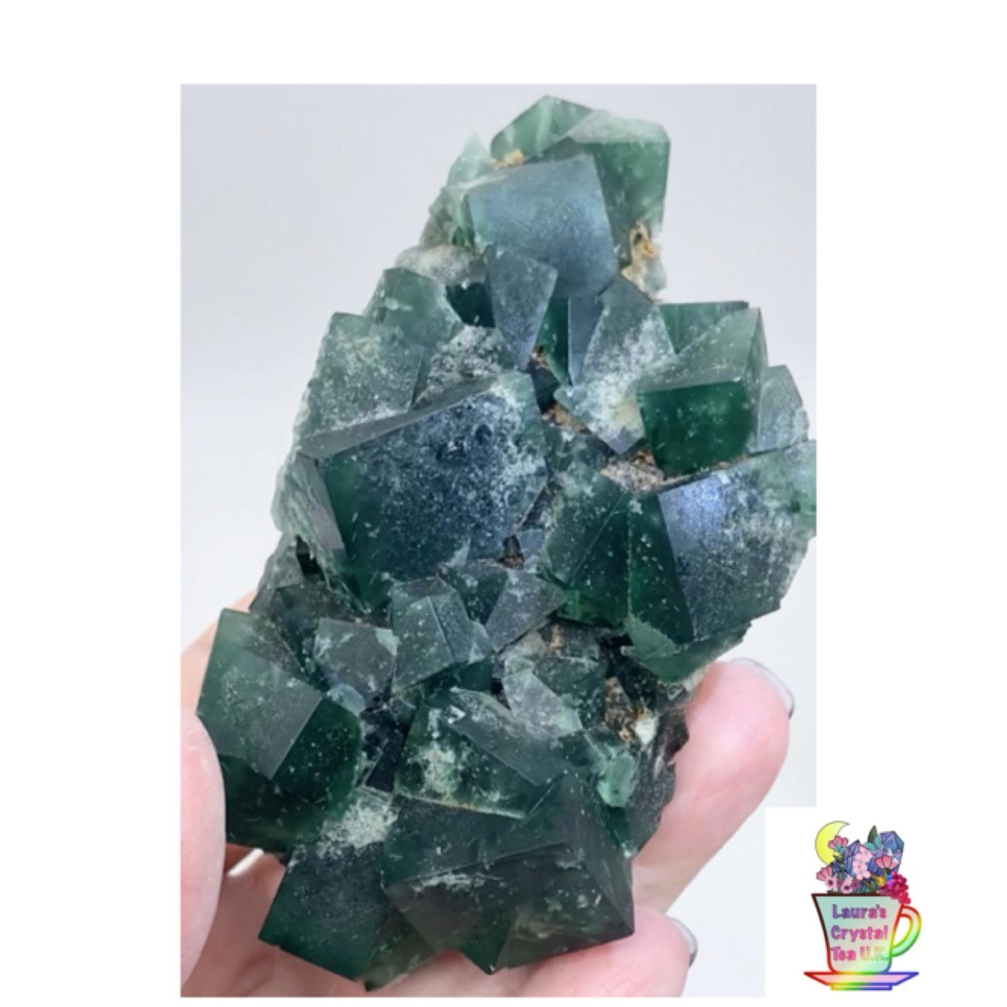 XL Greedy Hog Colour Change Green Fluorite from Greedy Hog Pocket, Diana Maria Mine, Weardale, County Durham, U.K. 🇬🇧 Top Quality