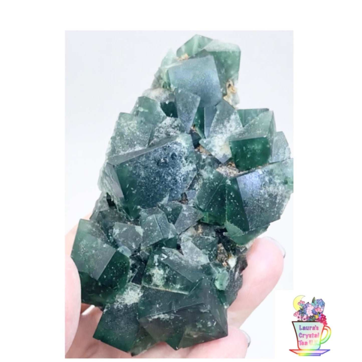 XL Greedy Hog Colour Change Green Fluorite from Greedy Hog Pocket, Diana Maria Mine, Weardale, County Durham, U.K. 🇬🇧 Top Quality