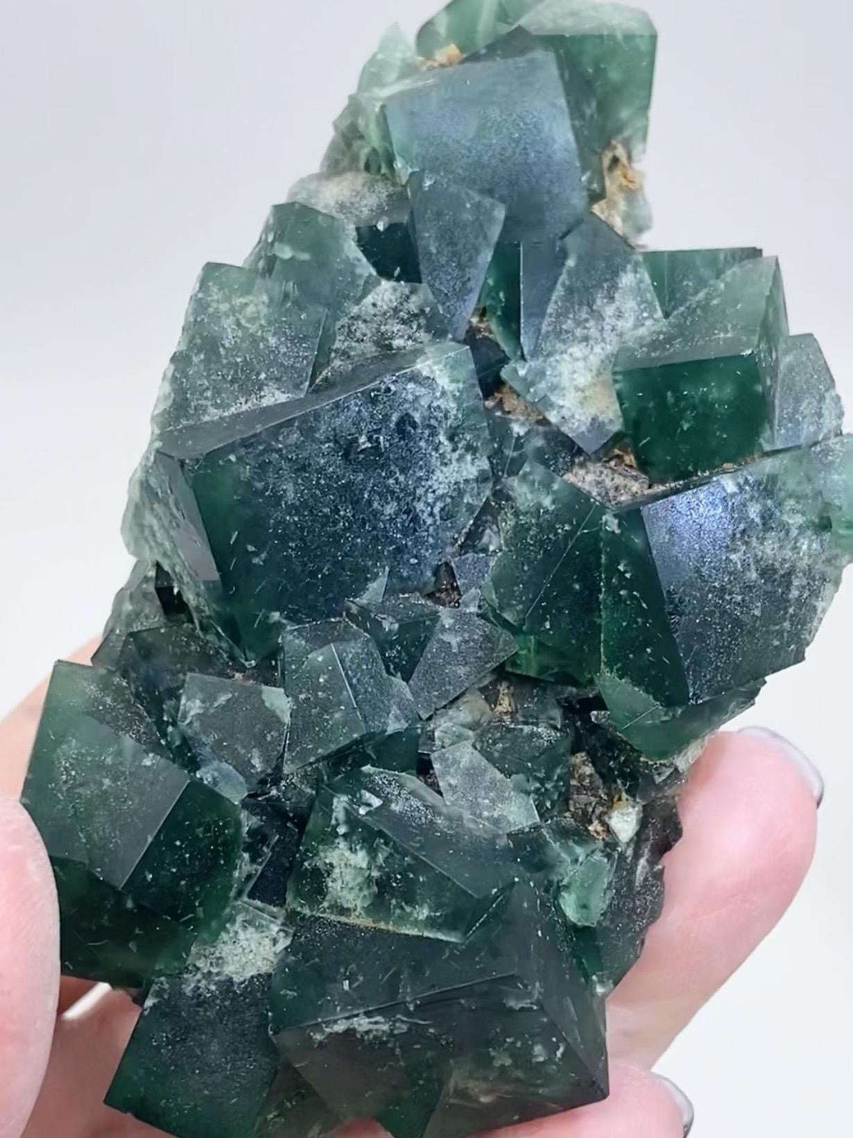 XL Greedy Hog Colour Change Green Fluorite from Greedy Hog Pocket, Diana Maria Mine, Weardale, County Durham, U.K. 🇬🇧 Top Quality