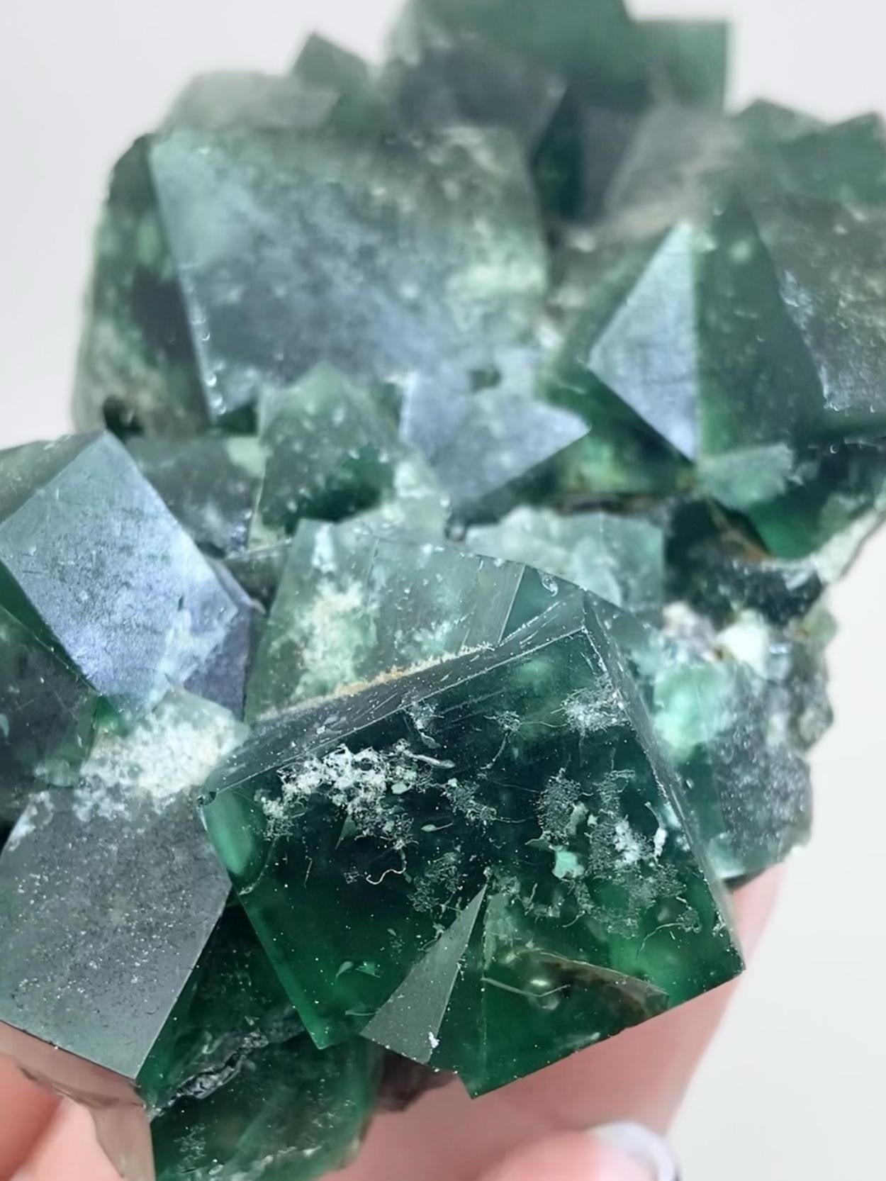 XL Greedy Hog Colour Change Green Fluorite from Greedy Hog Pocket, Diana Maria Mine, Weardale, County Durham, U.K. 🇬🇧 Top Quality