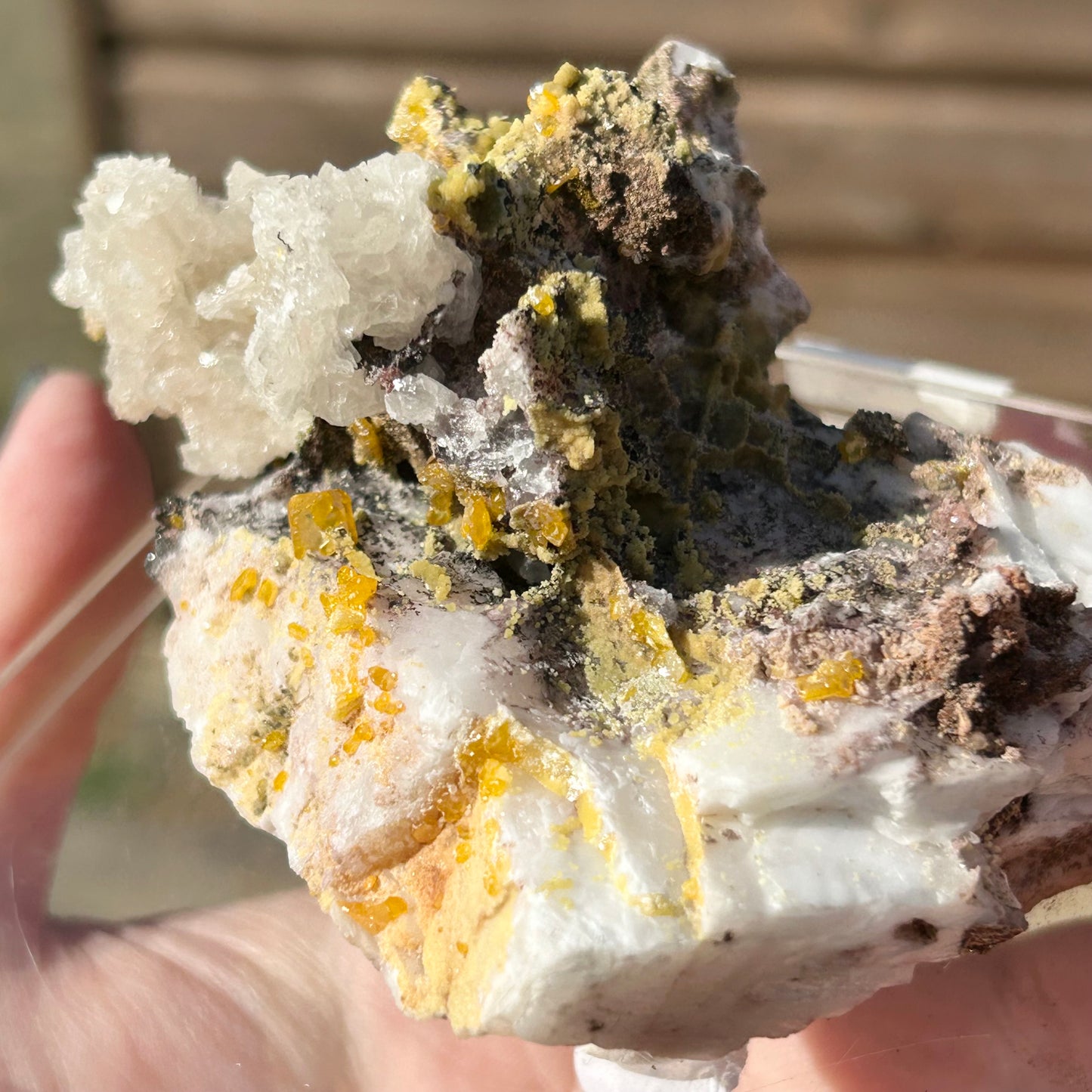 Yellow Wulfenite with Mimetite on Calcite & Feldspar XL from La Morta Mine, Chihuahua, Mexico 🇲🇽 #6