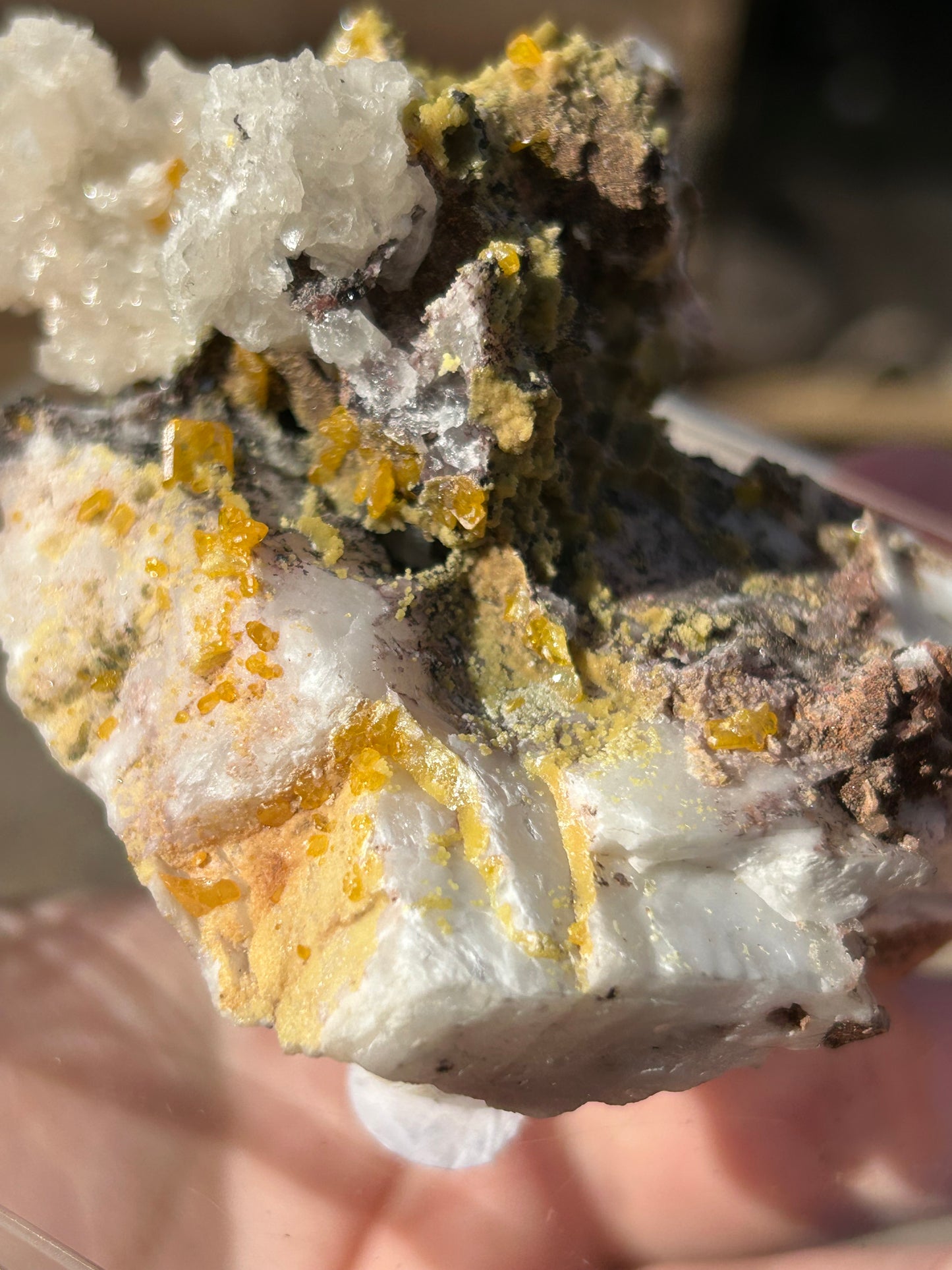 Yellow Wulfenite with Mimetite on Calcite & Feldspar XL from La Morta Mine, Chihuahua, Mexico 🇲🇽 #6