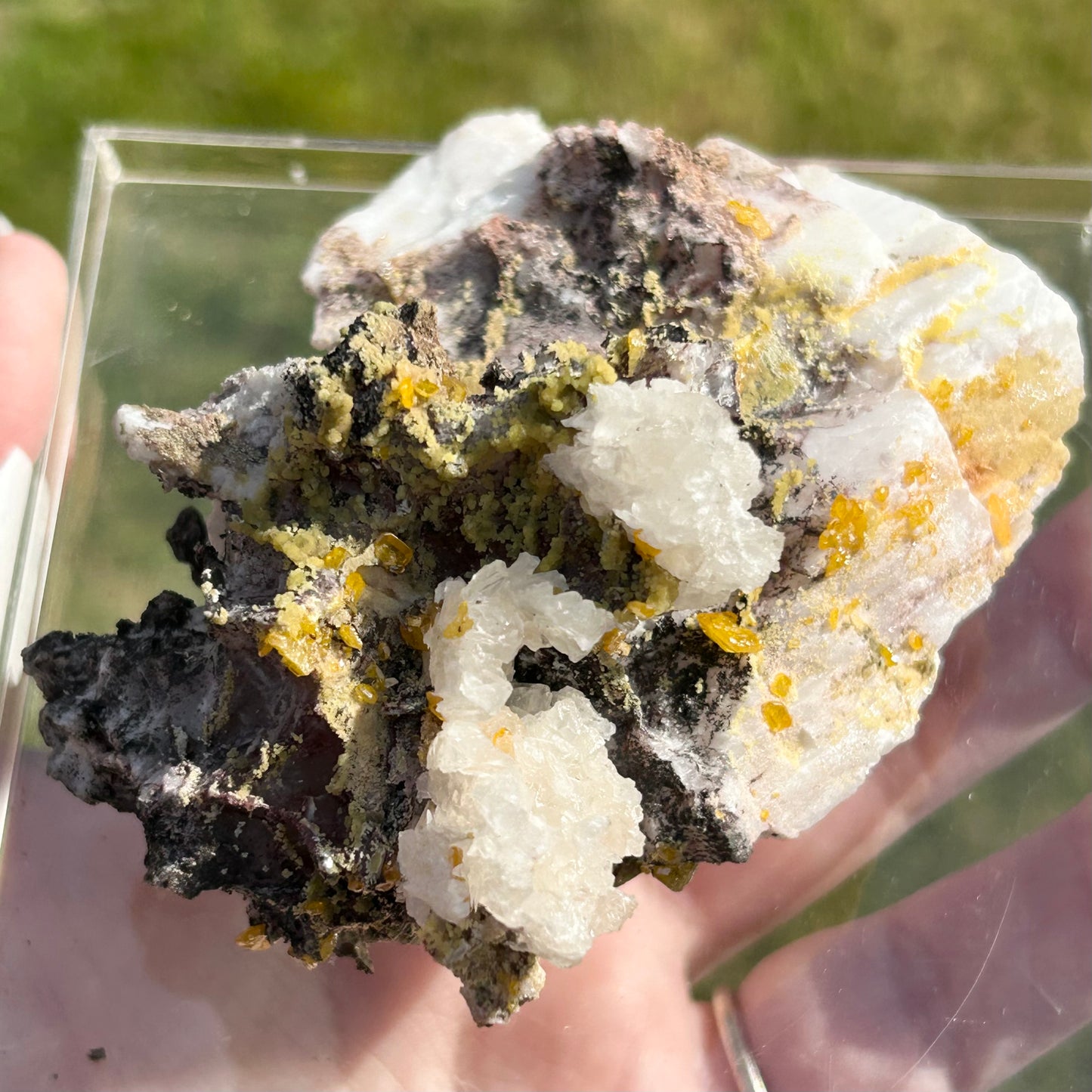 Yellow Wulfenite with Mimetite on Calcite & Feldspar XL from La Morta Mine, Chihuahua, Mexico 🇲🇽 #6