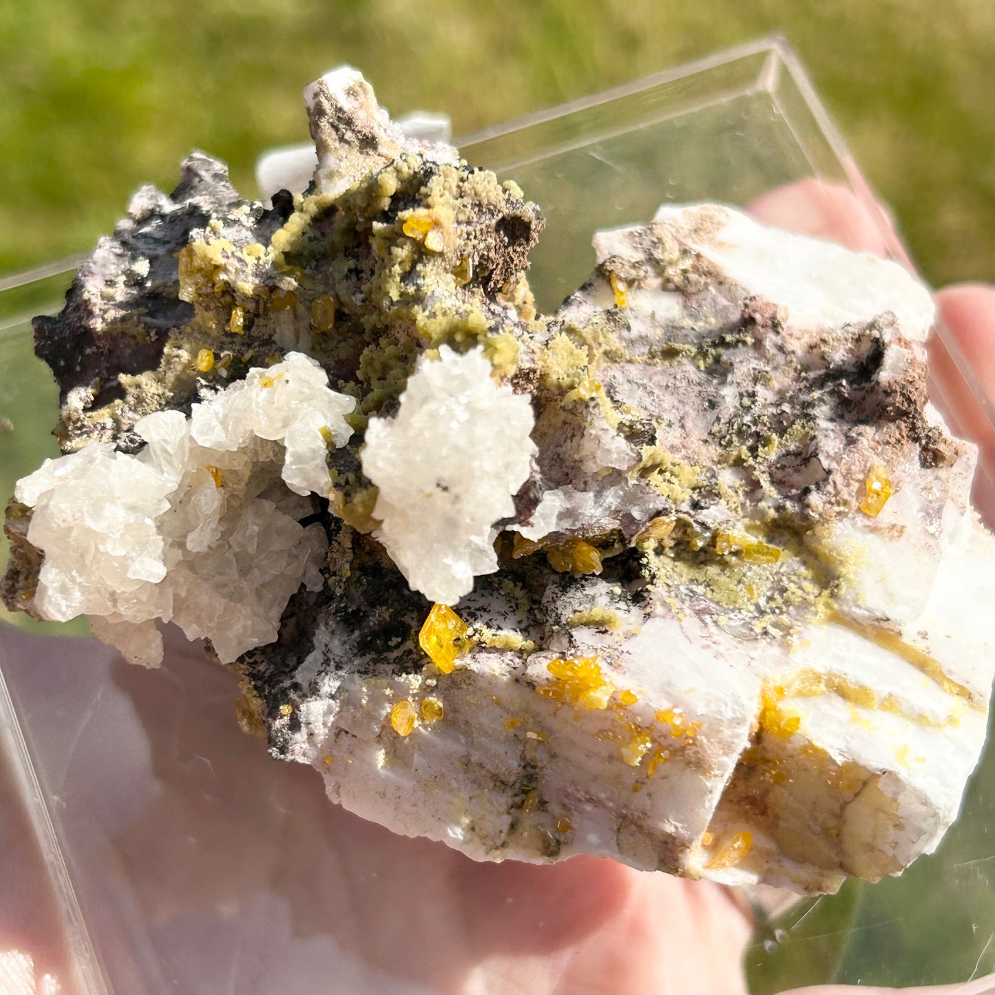 Yellow Wulfenite with Mimetite on Calcite & Feldspar XL from La Morta Mine, Chihuahua, Mexico 🇲🇽 #6